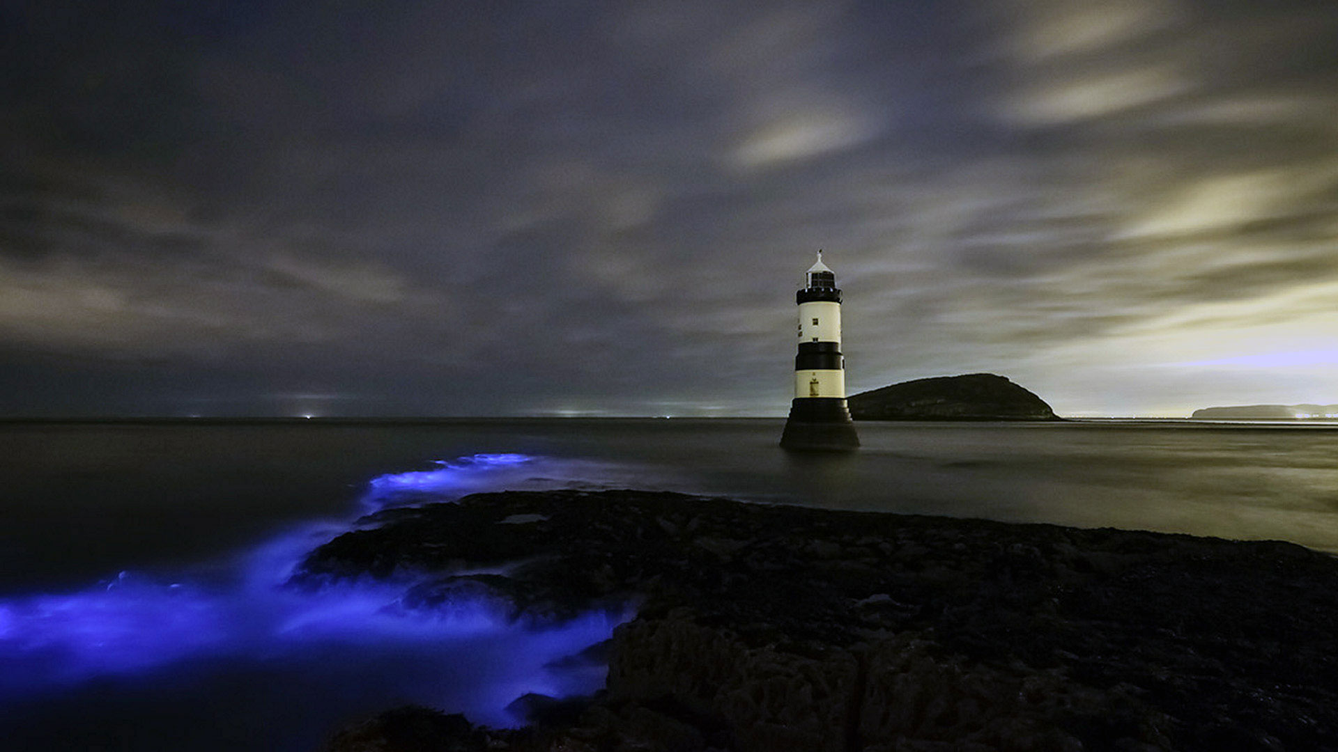BluePlankton_ZH-CN9721339029_1920x1080.jpg