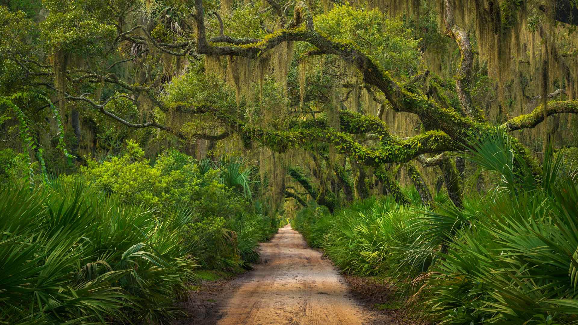 CumberlandIsland_ZH-CN9225392774_1920x1080.jpg