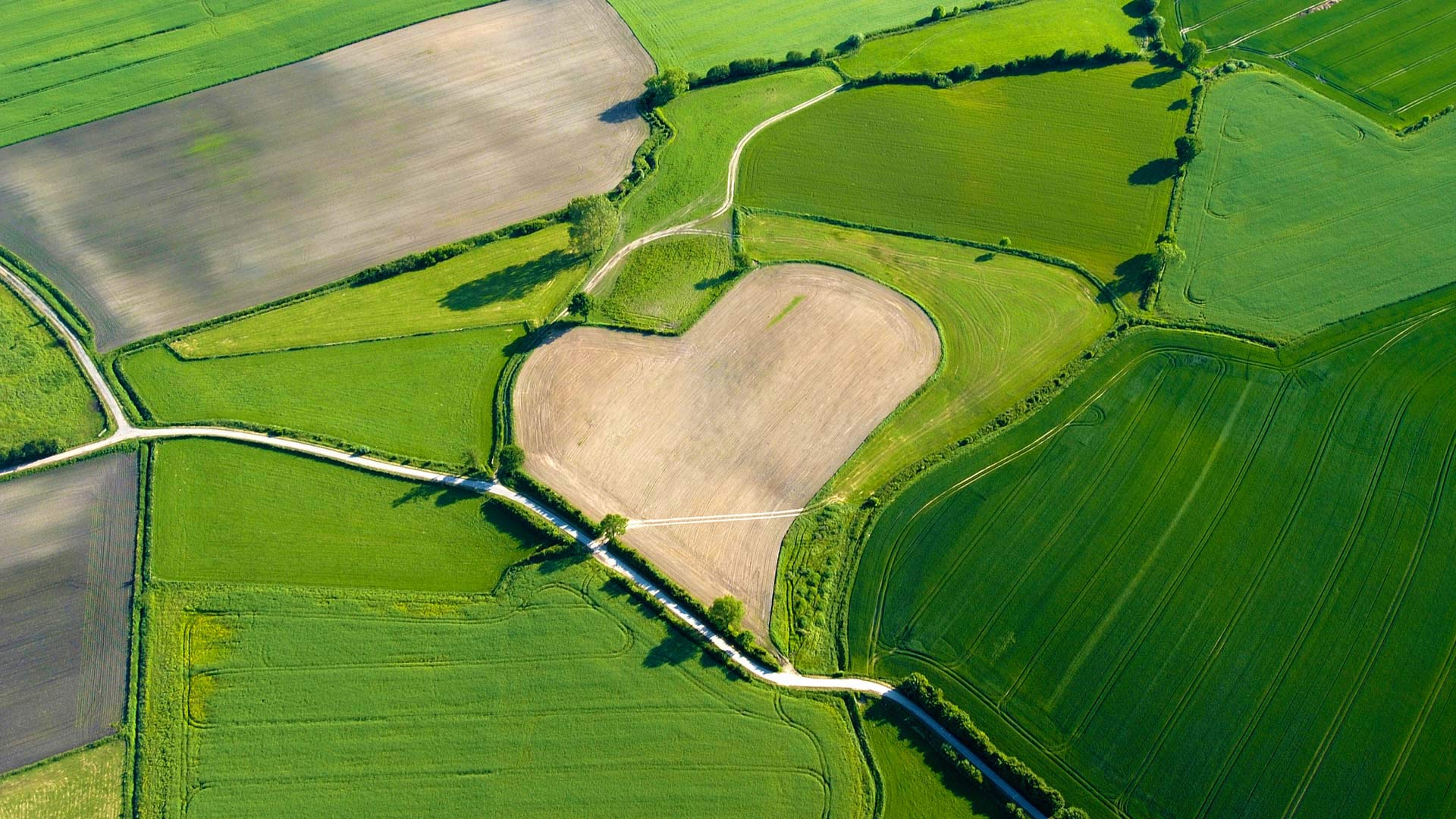 AgricultureHeart_ZH-CN12475262667_1920x1080.jpg
