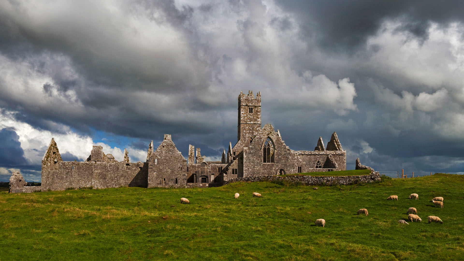 RossErrilly_ZH-CN11204408260_1920x1080.jpg