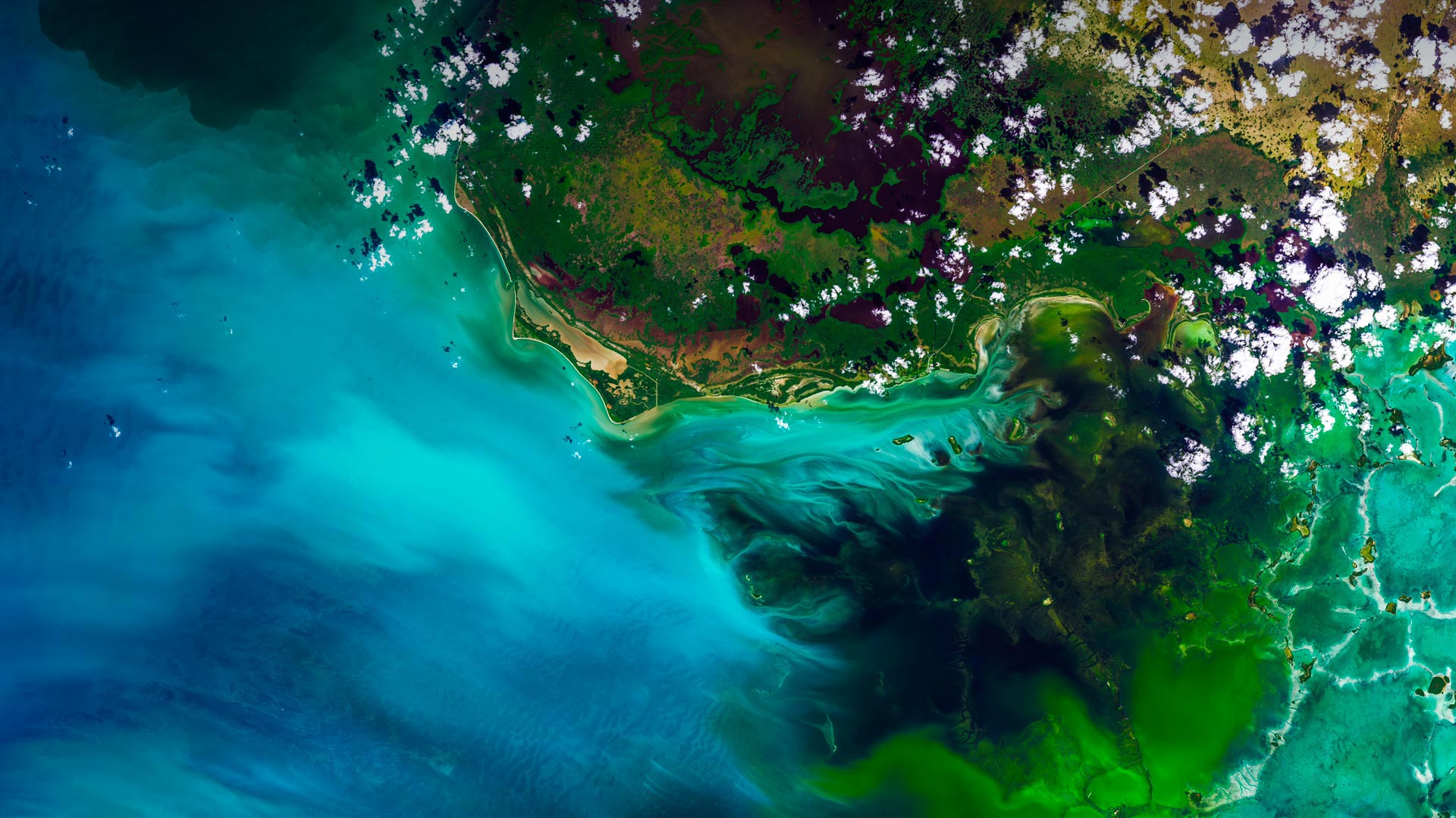 SatelliteGlades_ZH-CN11389308210_1920x1080.jpg