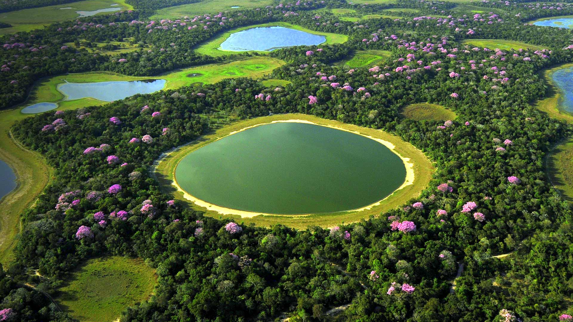 AerialPantanal_ZH-CN7580811600_1920x1080.jpg