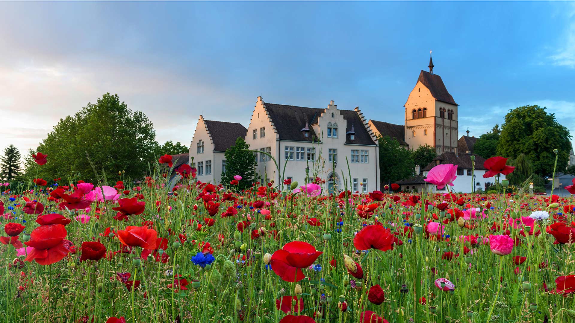 ReichenauSommer_ZH-CN10985992170_1920x1080.jpg