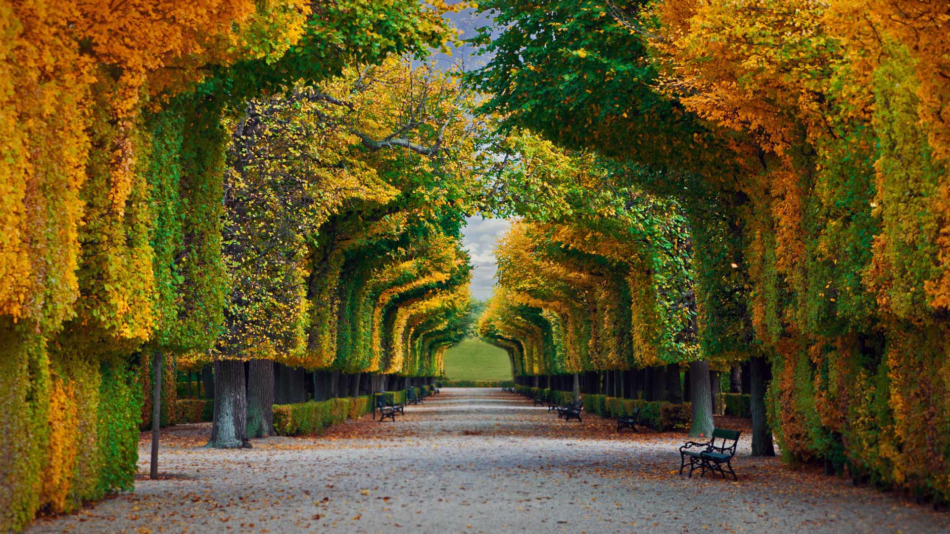 SchonnbrunnPark_ZH-CN8641092561_1920x1080.jpg