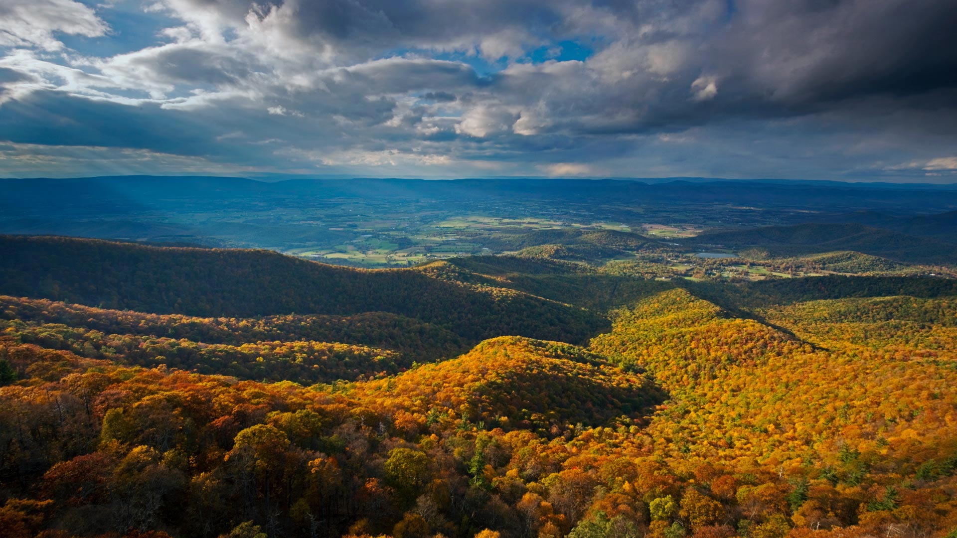 ShenandoahAutumn_ZH-CN12756614363_1920x1080.jpg