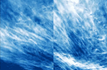 ezgif.com-resize.gif