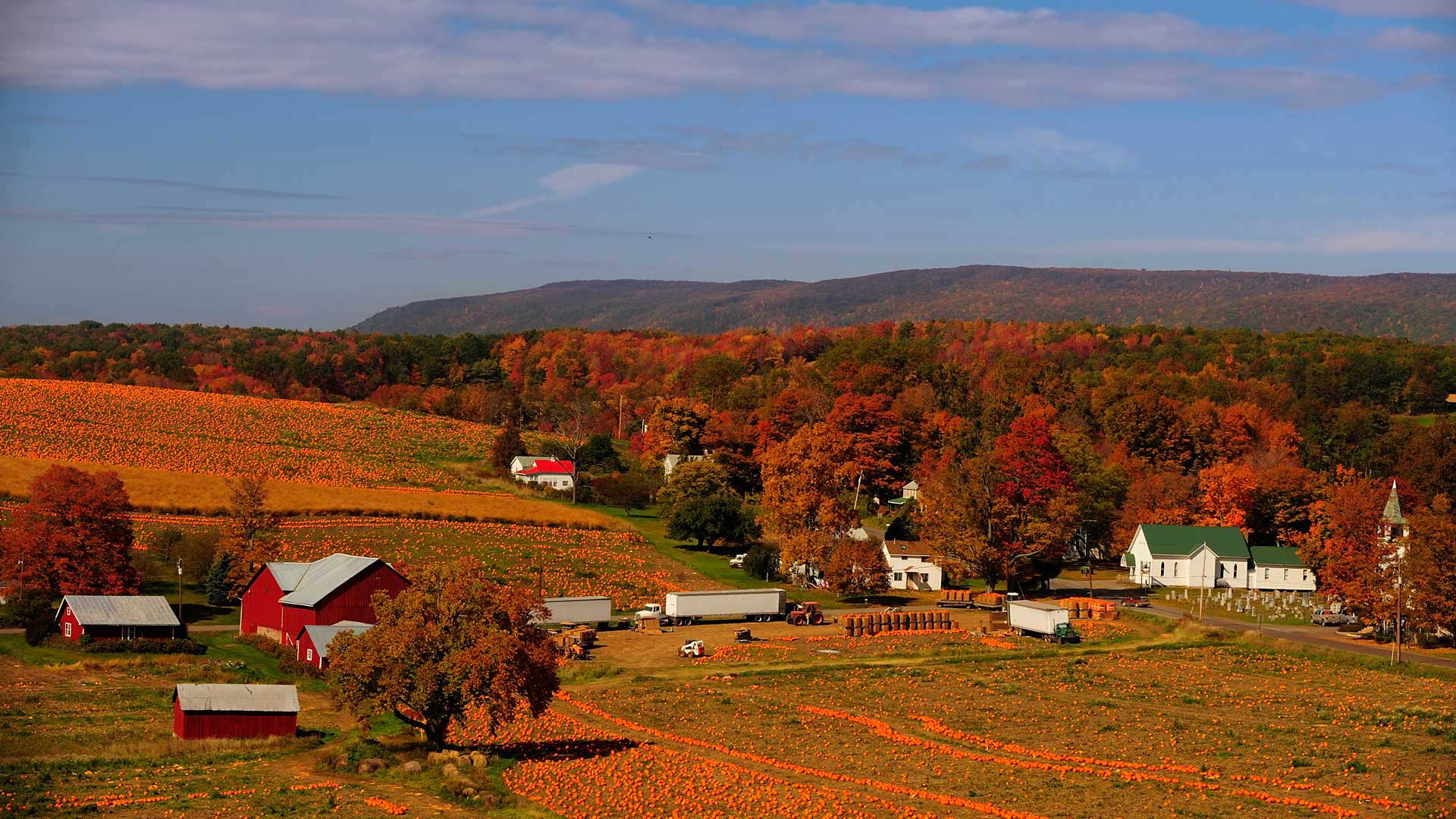 PumpkinPatch_ZH-CN13388807715_1920x1080.jpg