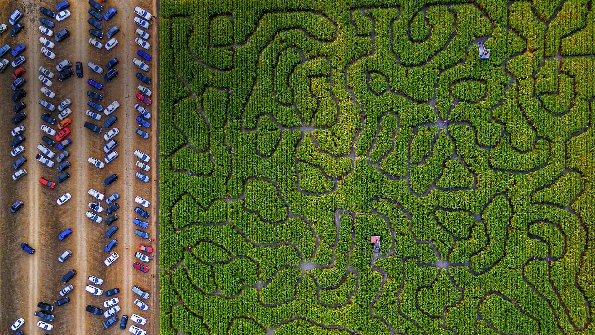 CornMaze_ZH-CN12435268462_1920x1080.jpg
