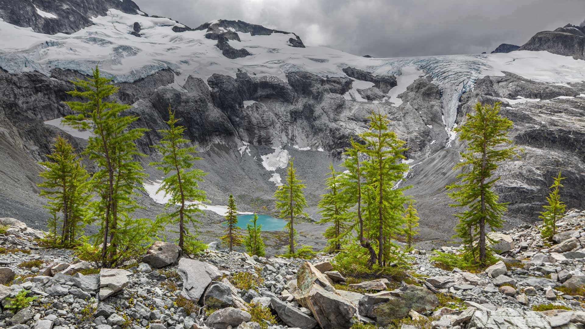 AlpineLarches_ZH-CN10557456981_1920x1080.jpg