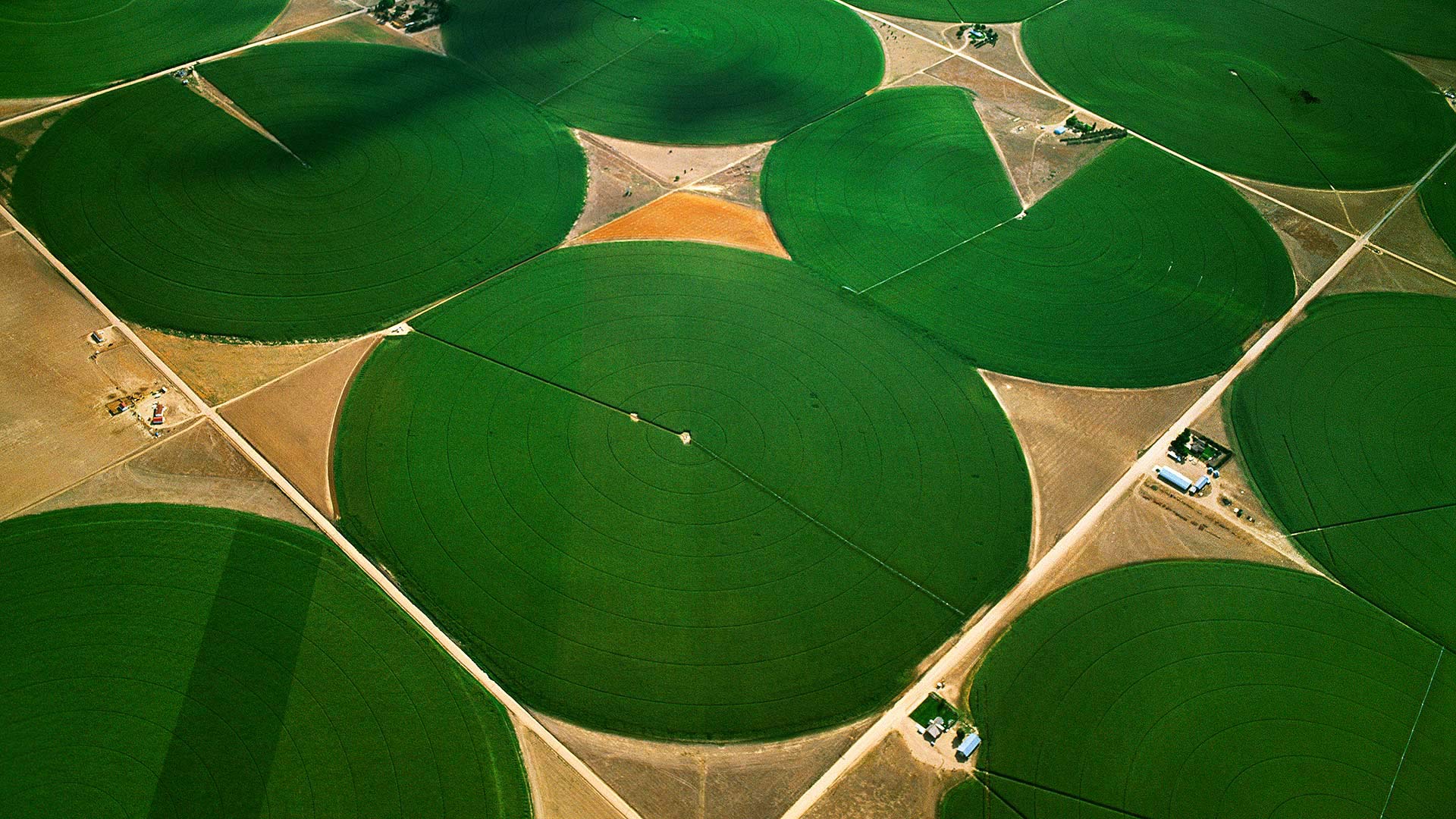 AgriculturalPi_ZH-CN9754138523_1920x1080.jpg