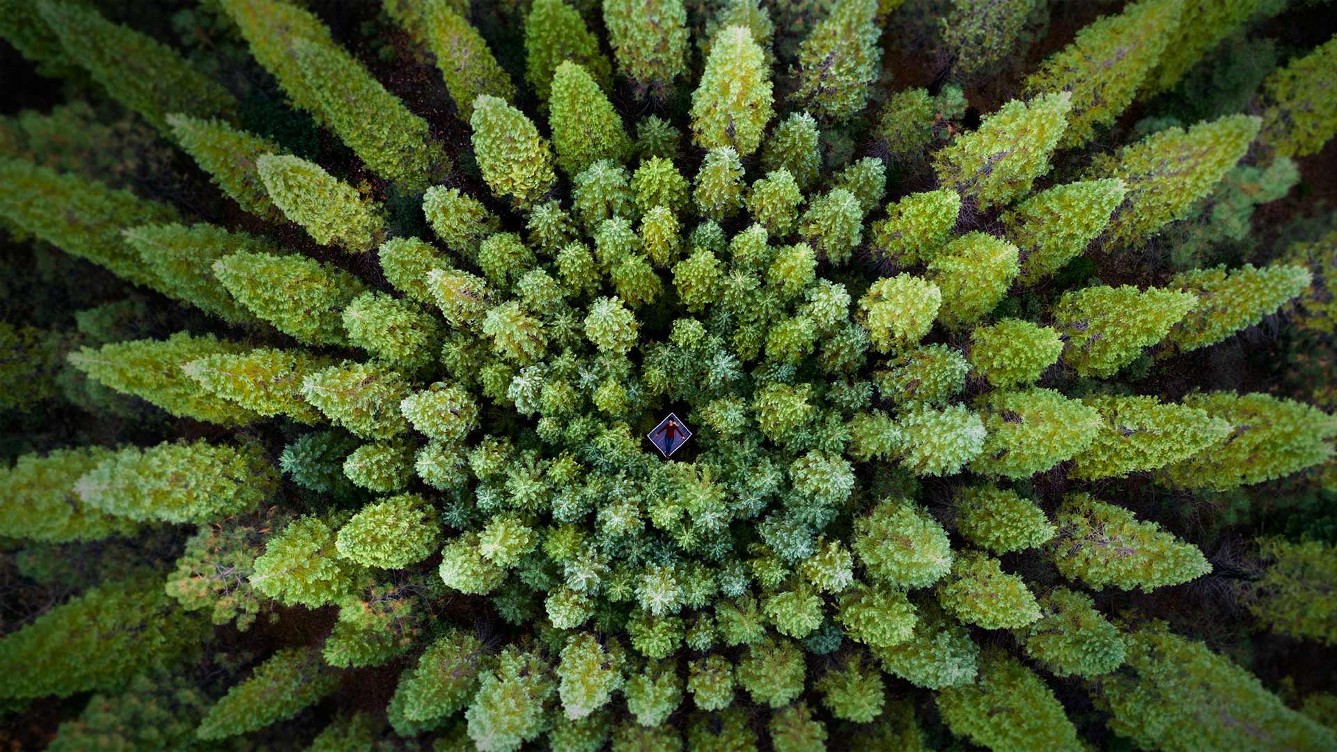 NelderPlot_ZH-CN3786459560_1920x1080.jpg