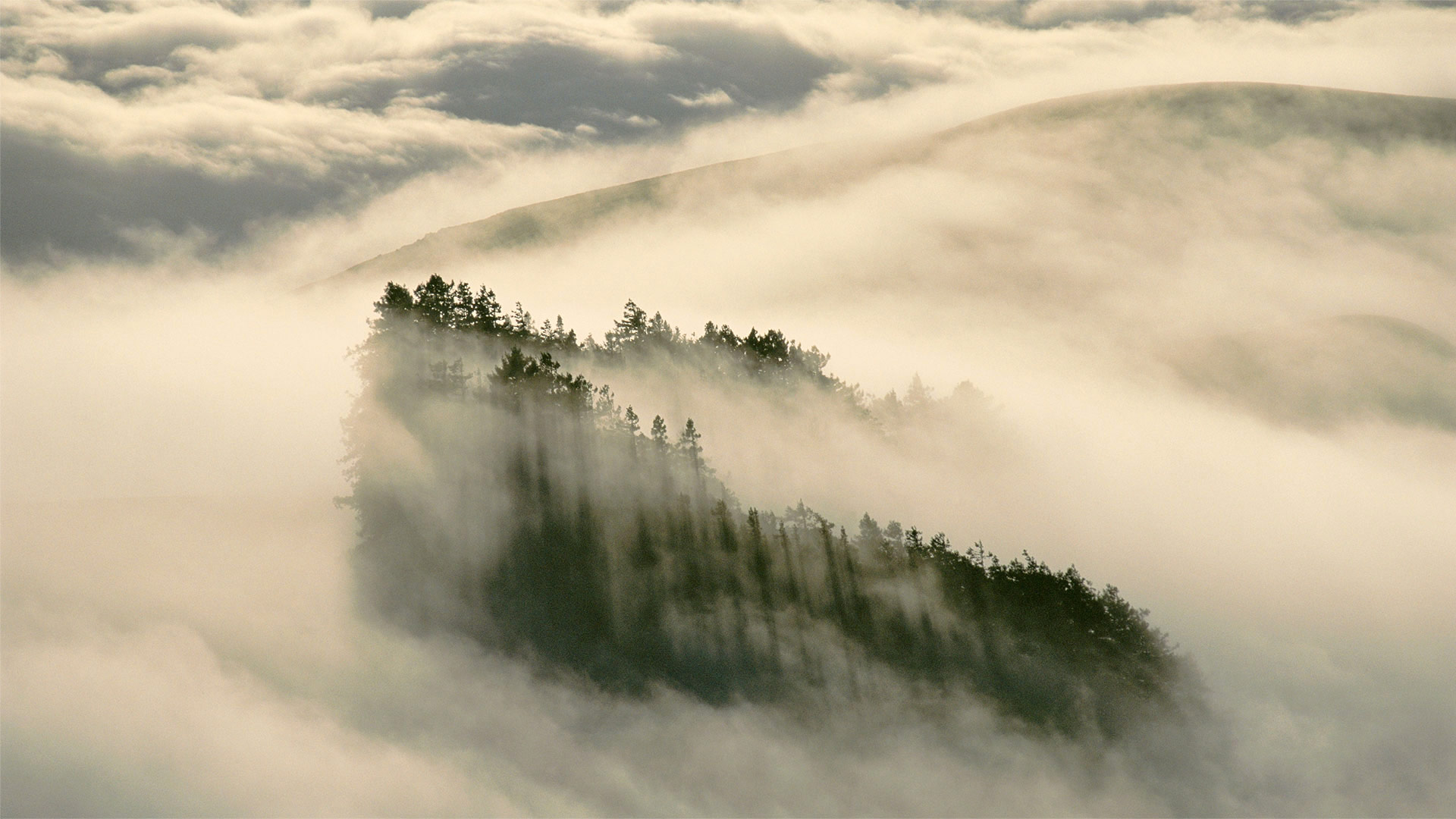 CoastalFog_ZH-CN8104406852_1920x1080.jpg