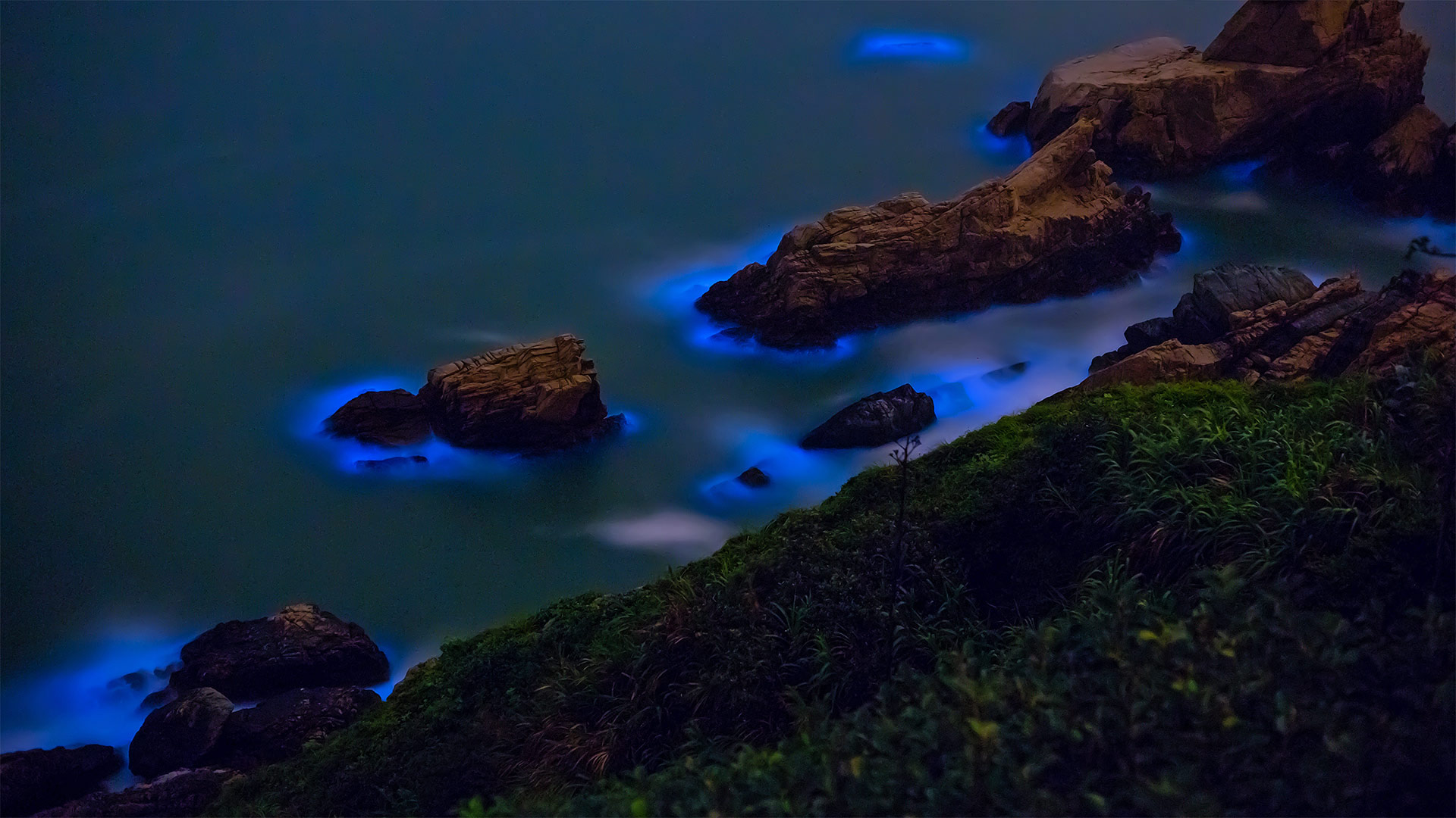 BlueTide_ZH-CN4055424992_1920x1080.jpg