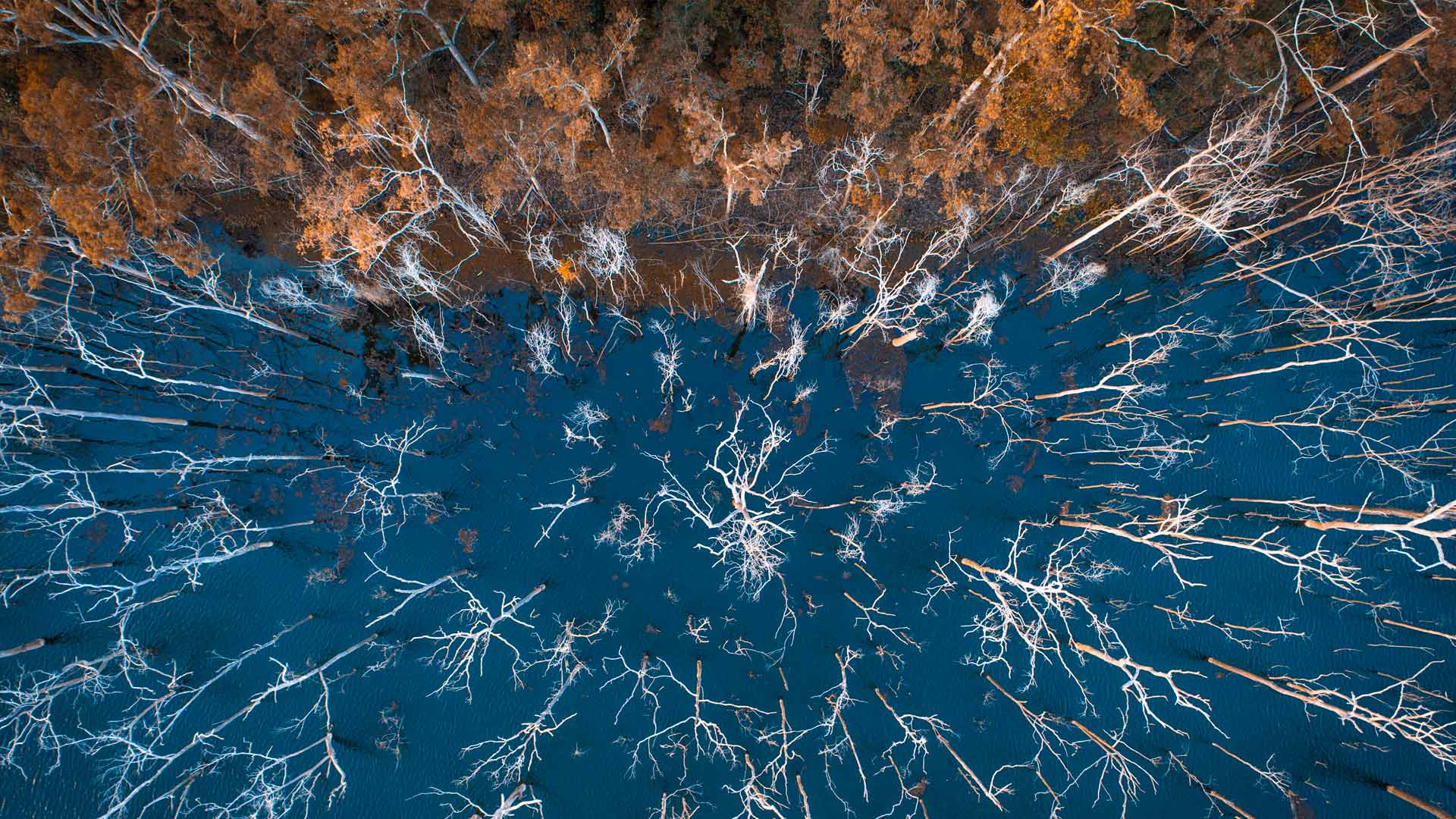 AdvancetownLake_EN-CN7780474524_1920x1080.jpg