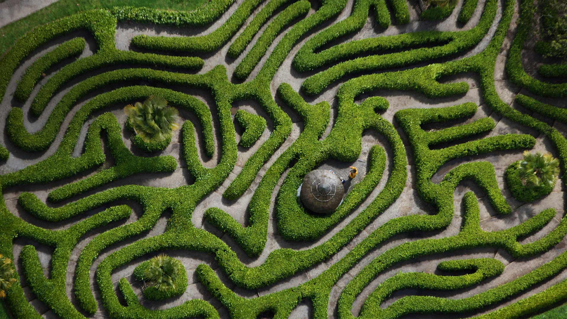 CherryLaurelMaze_ZH-CN9887470516_1920x1080.jpg