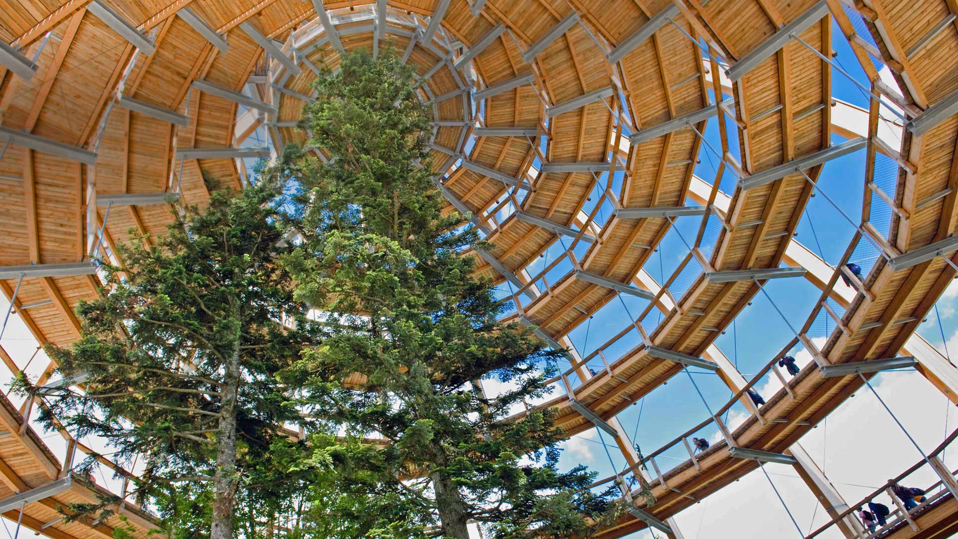 TreeTower_ZH-CN4181961177_1920x1080.jpg