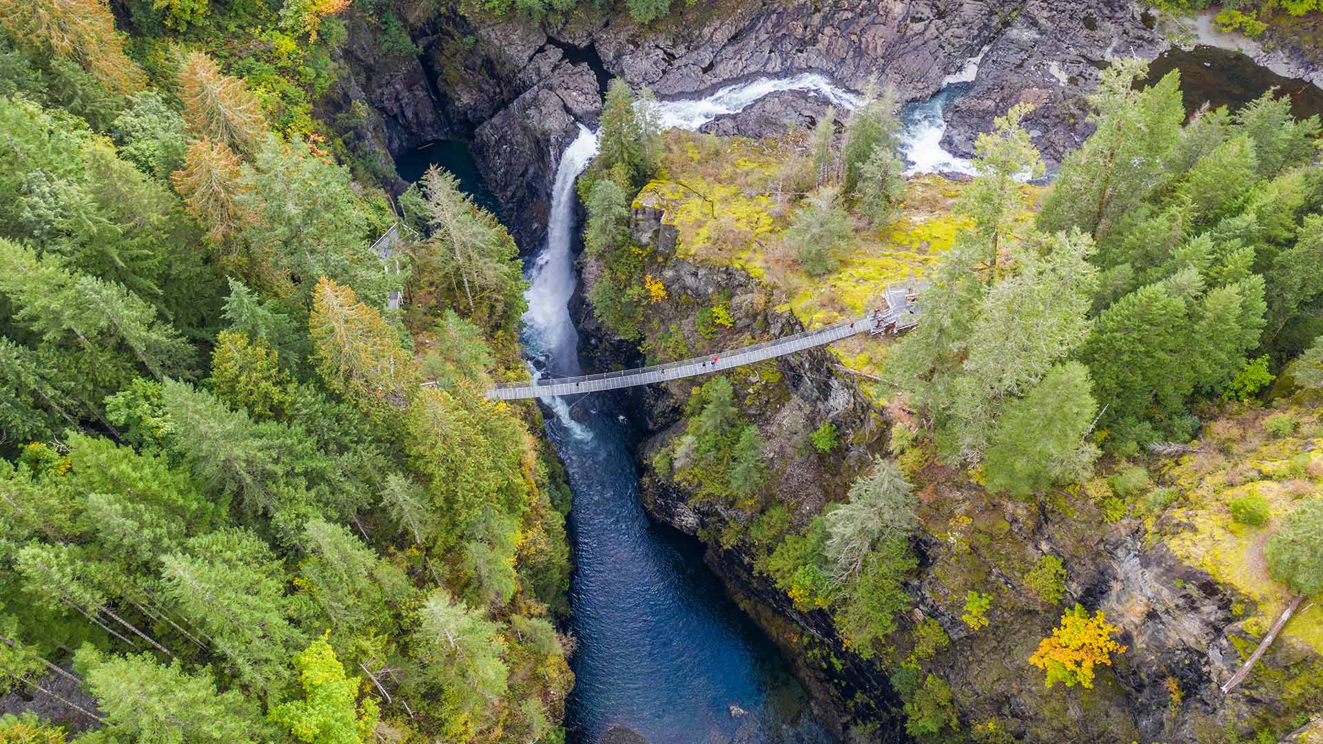 ElkFallsBridge_ZH-CN3921681387_1920x1080.jpg