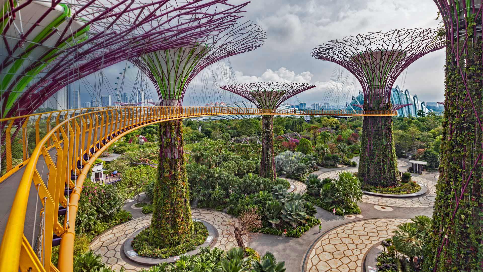GroveandSkywalk_EN-CN4062197546_1920x1080.jpg