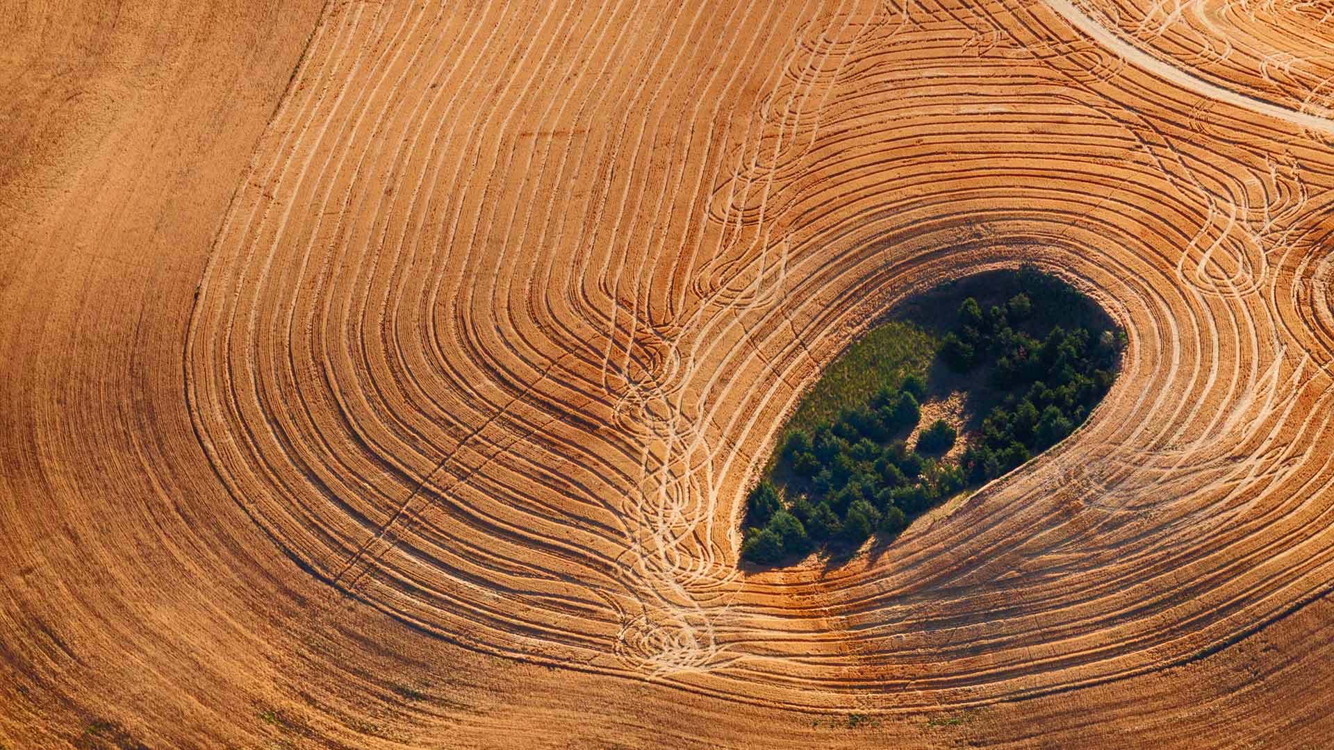 FarmlandLandscape_ZH-CN8021236701_1920x1080.jpg
