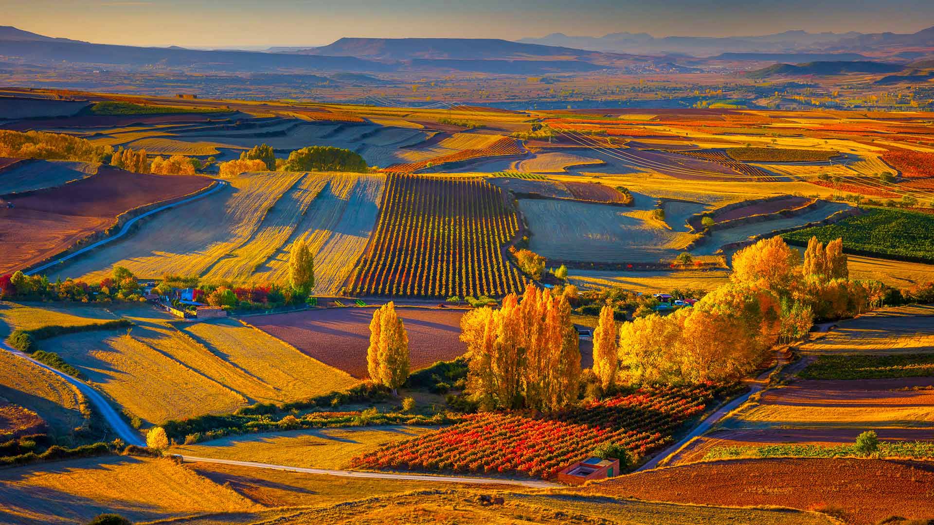 ClavijoLandscape_ZH-CN1525245124_1920x1080.jpg