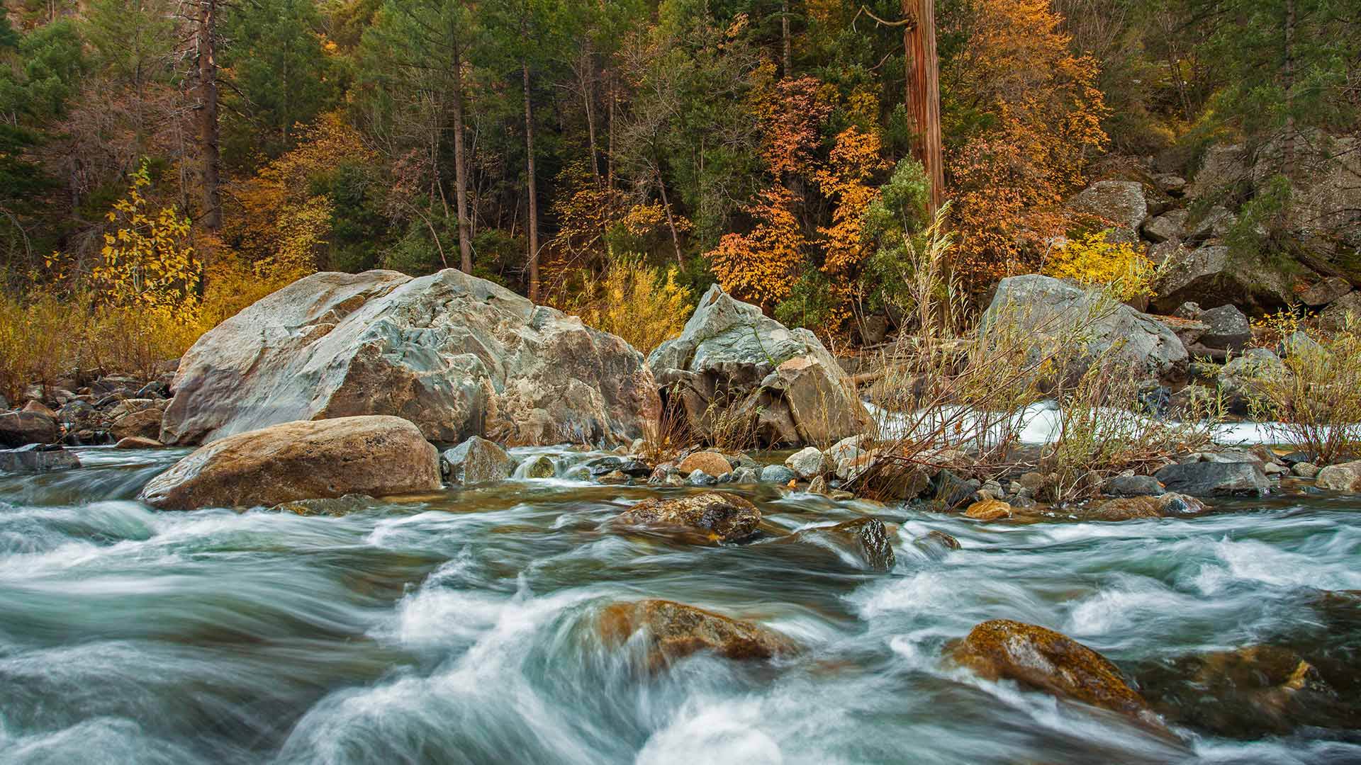 MercedWild_EN-CN2467213604_1920x1080.jpg