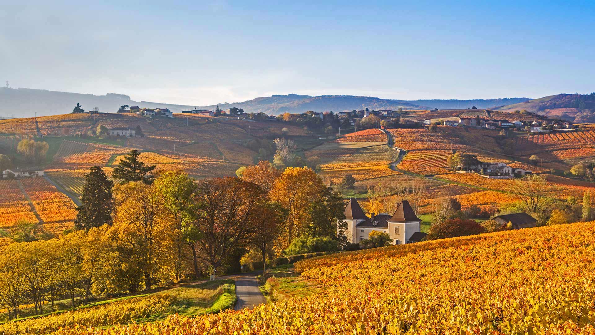 BeaujolaisRegion_ZH-CN1585928268_1920x1080.jpg