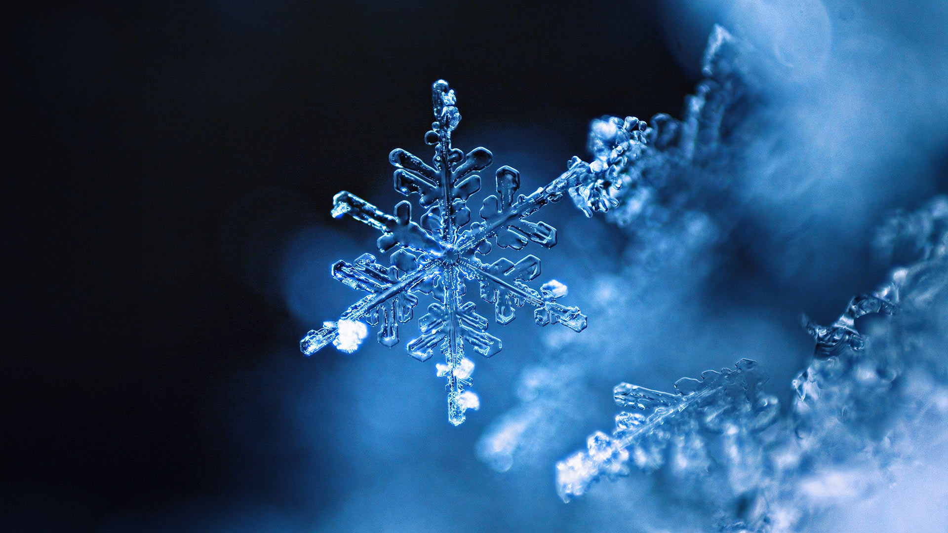 RealSnowflake_ZH-CN5687037252_1920x1080.jpg