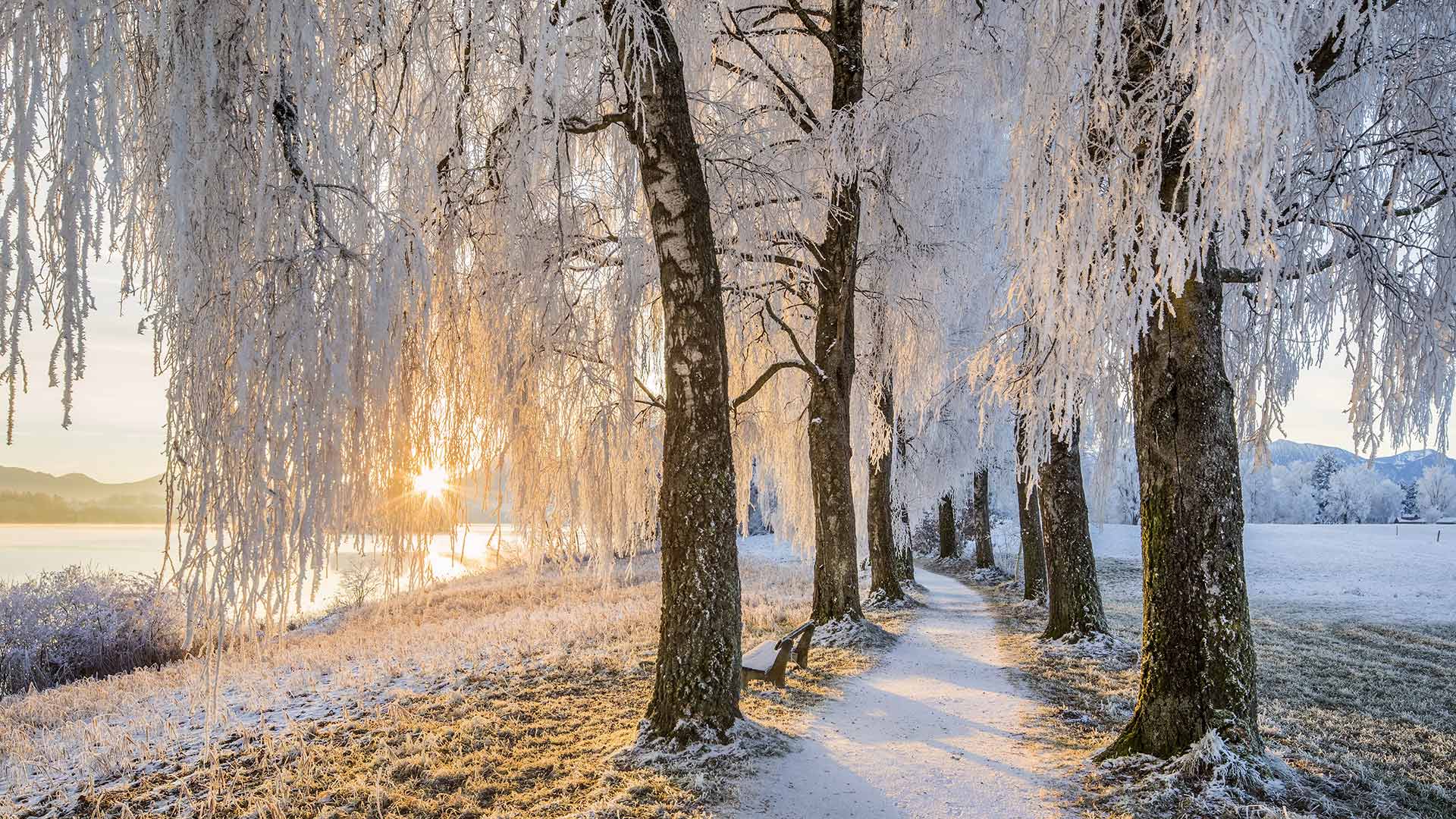 UffingStaffelseeWinter_ZH-CN4001263375_1920x1080.jpg