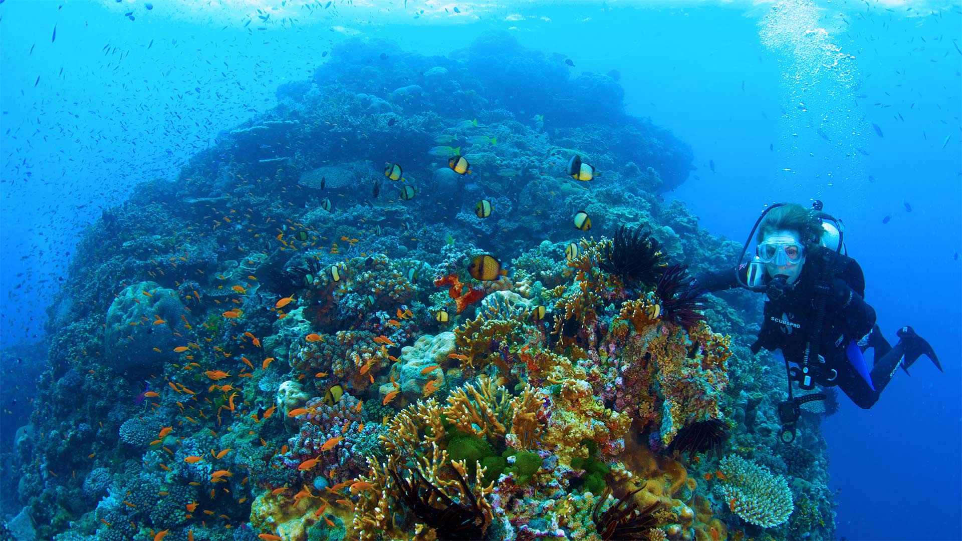 SylviaEarle_EN-CN6467270531_1920x1080.jpg