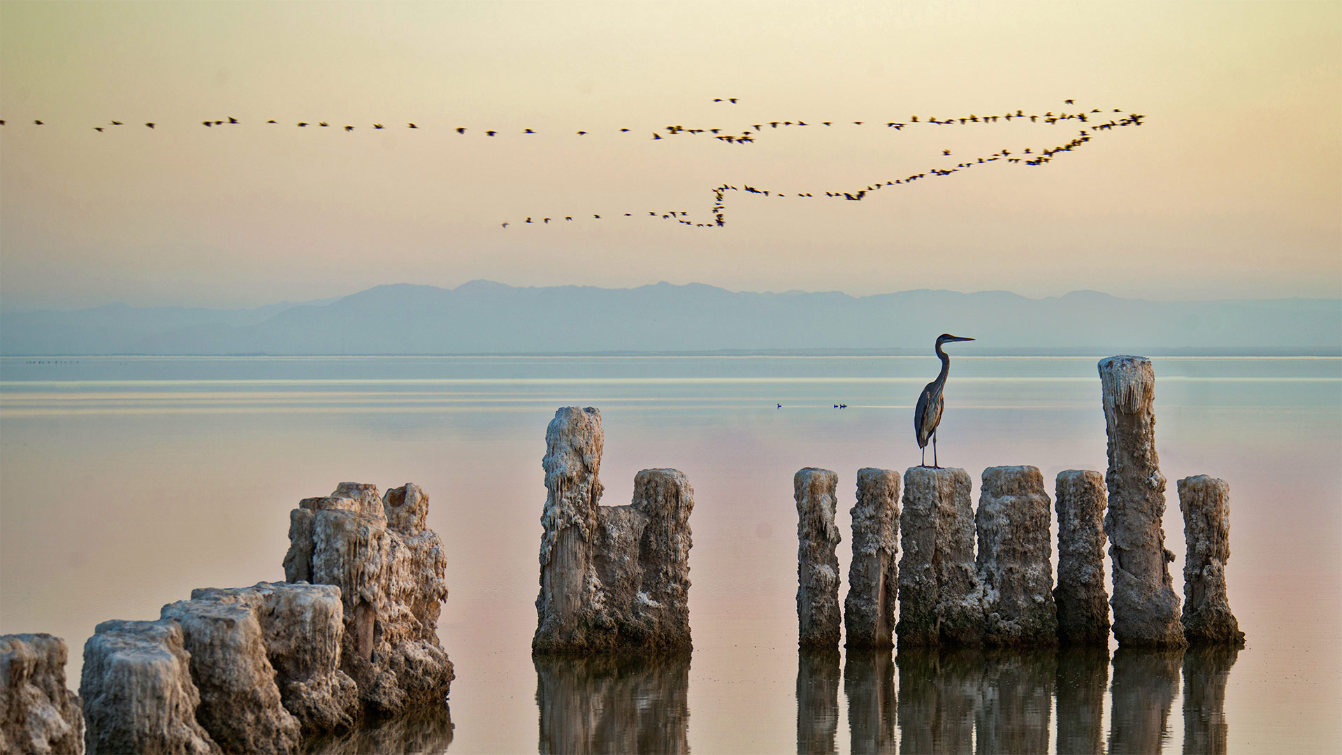 SaltonSea_ZH-CN1265210111_1920x1080.jpg