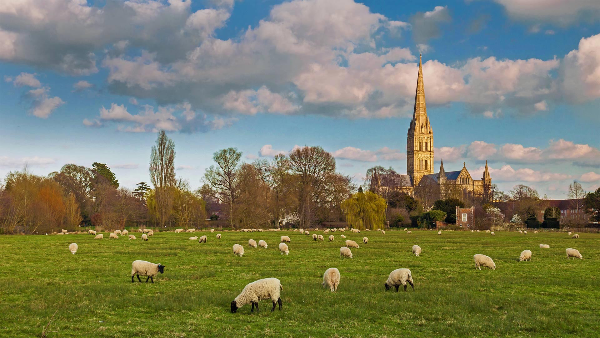 SalisburyCathedral_ZH-CN6366350896_1920x1080.jpg