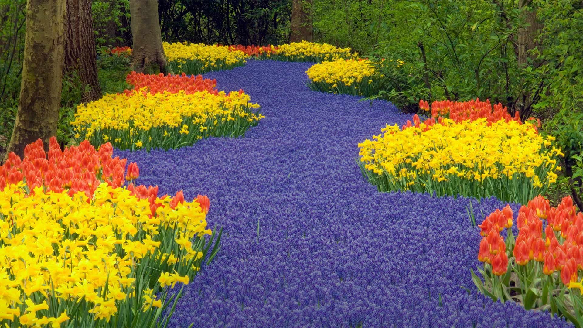 GardenHolland_EN-CN7198790540_1920x1080.jpg