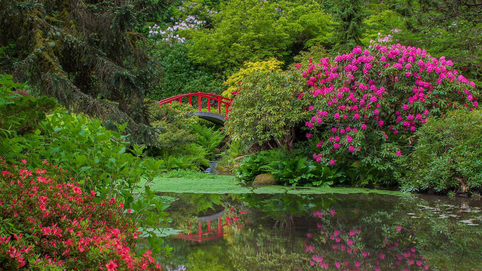 KubotaGarden_EN-CN0044925538_1920x1080.jpg