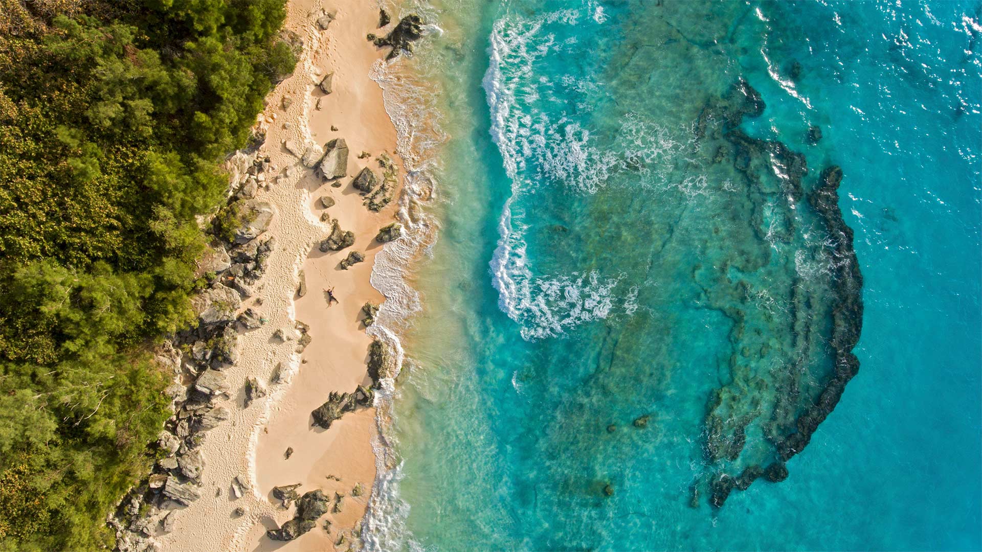 MarleyBeach_ZH-CN0404372814_1920x1080.jpg