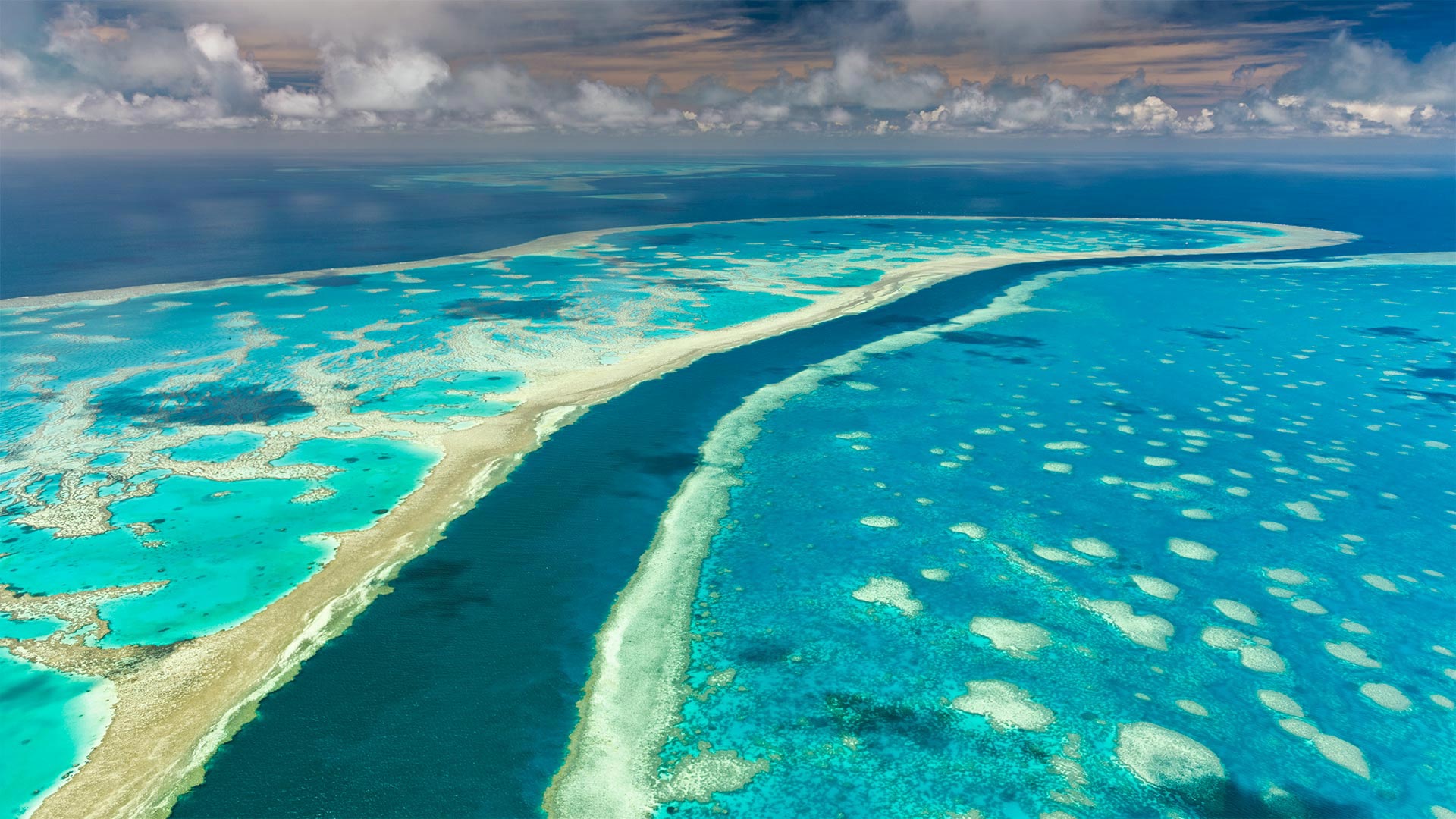 GreatReefDay_ZH-CN1185297376_1920x1080.jpg