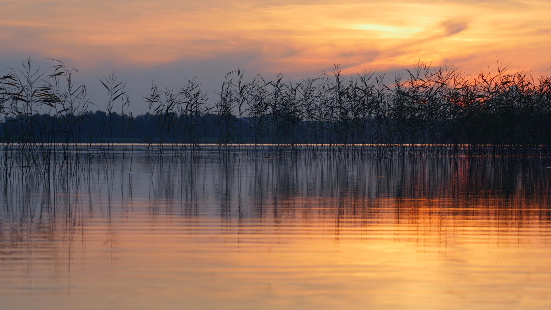 WaterRipples_FF_N_425392_HD_ZH-CN86977449.jpg