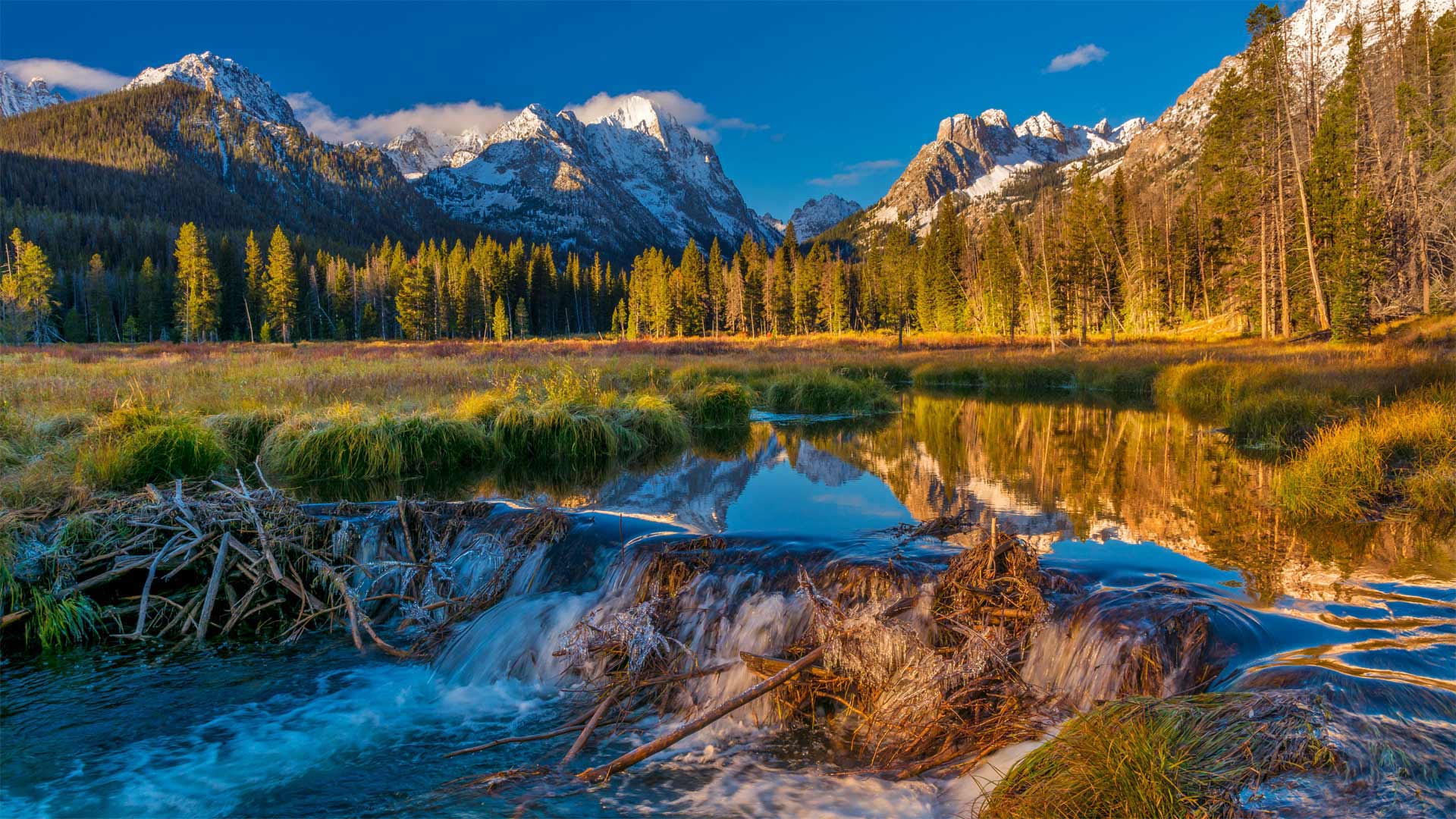 BeaverDam_ZH-CN6855160492_1920x1080.jpg