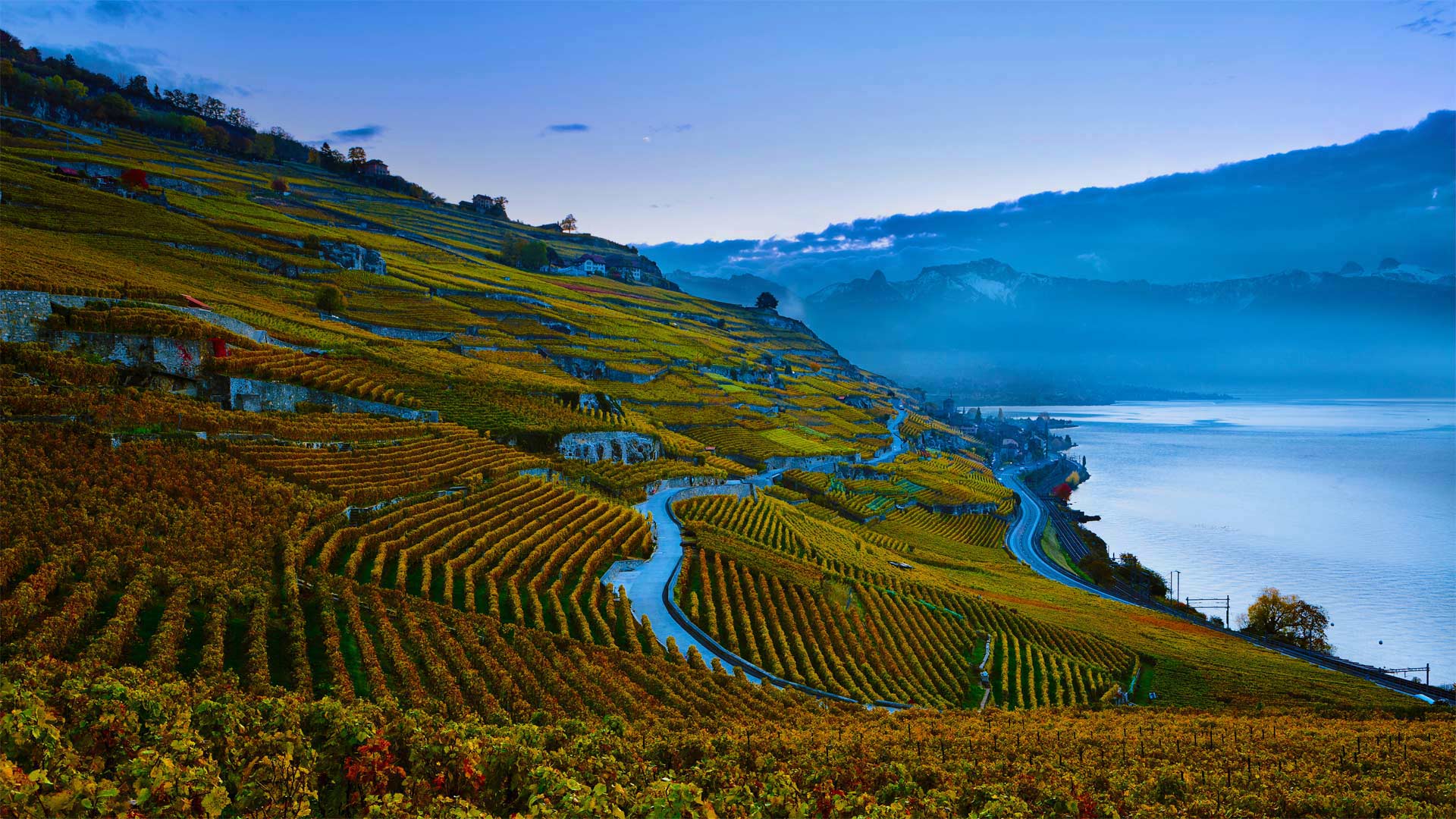 Lavaux_ZH-CN1891785892_1920x1080.jpg