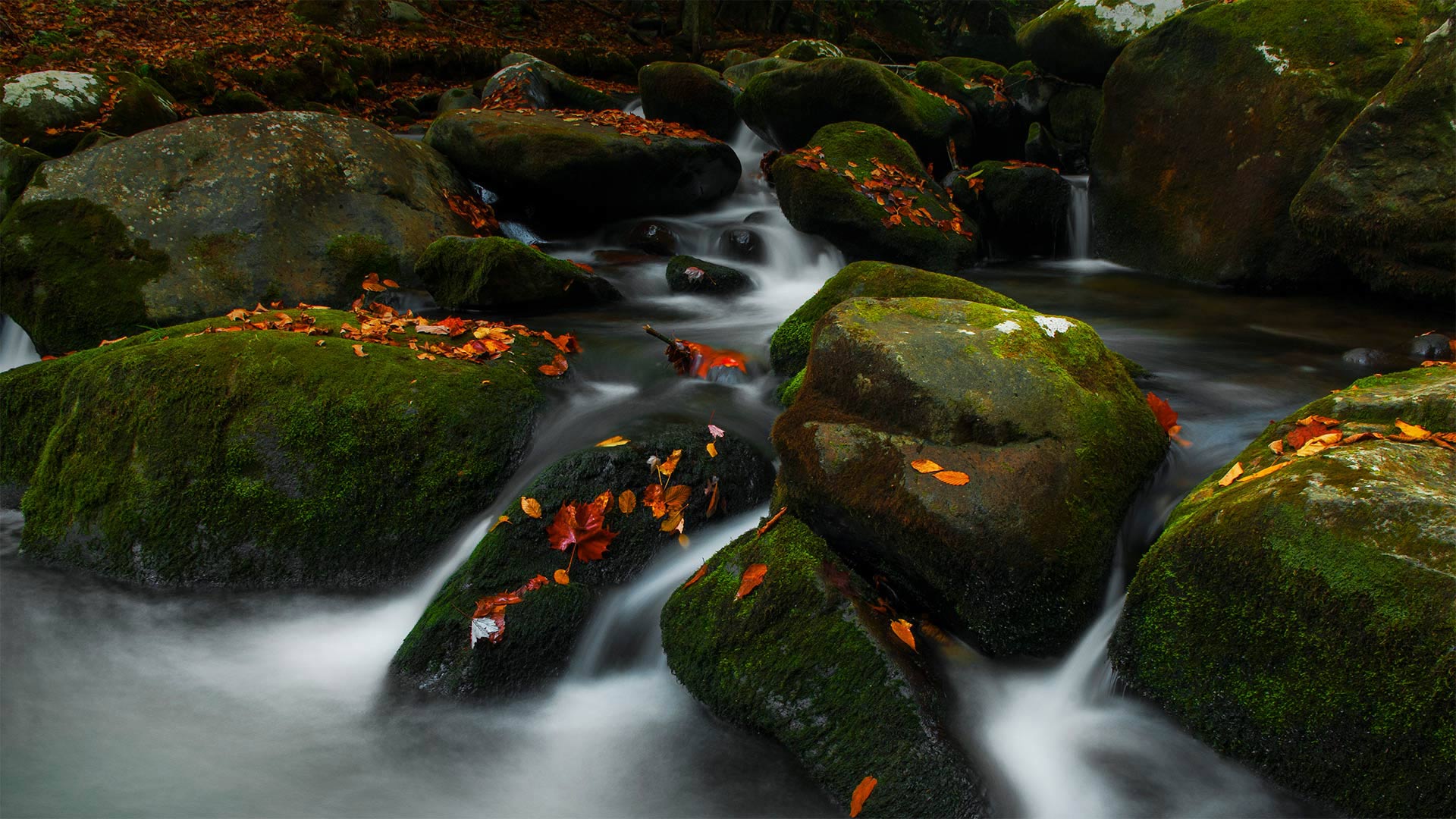 RoaringCascade_ZH-CN7814945705_1920x1080.jpg