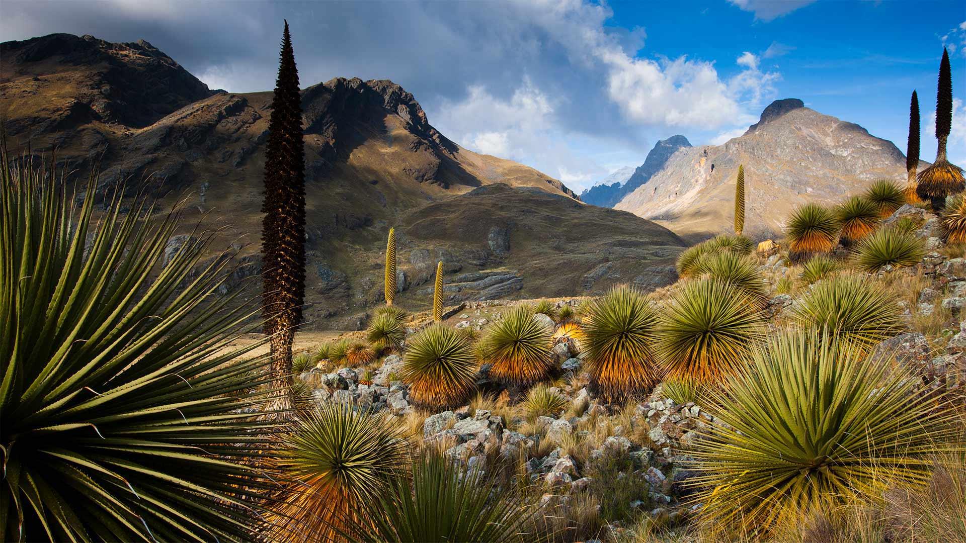 QueenoftheAndes_ZH-CN9019108680_1920x1080.jpg