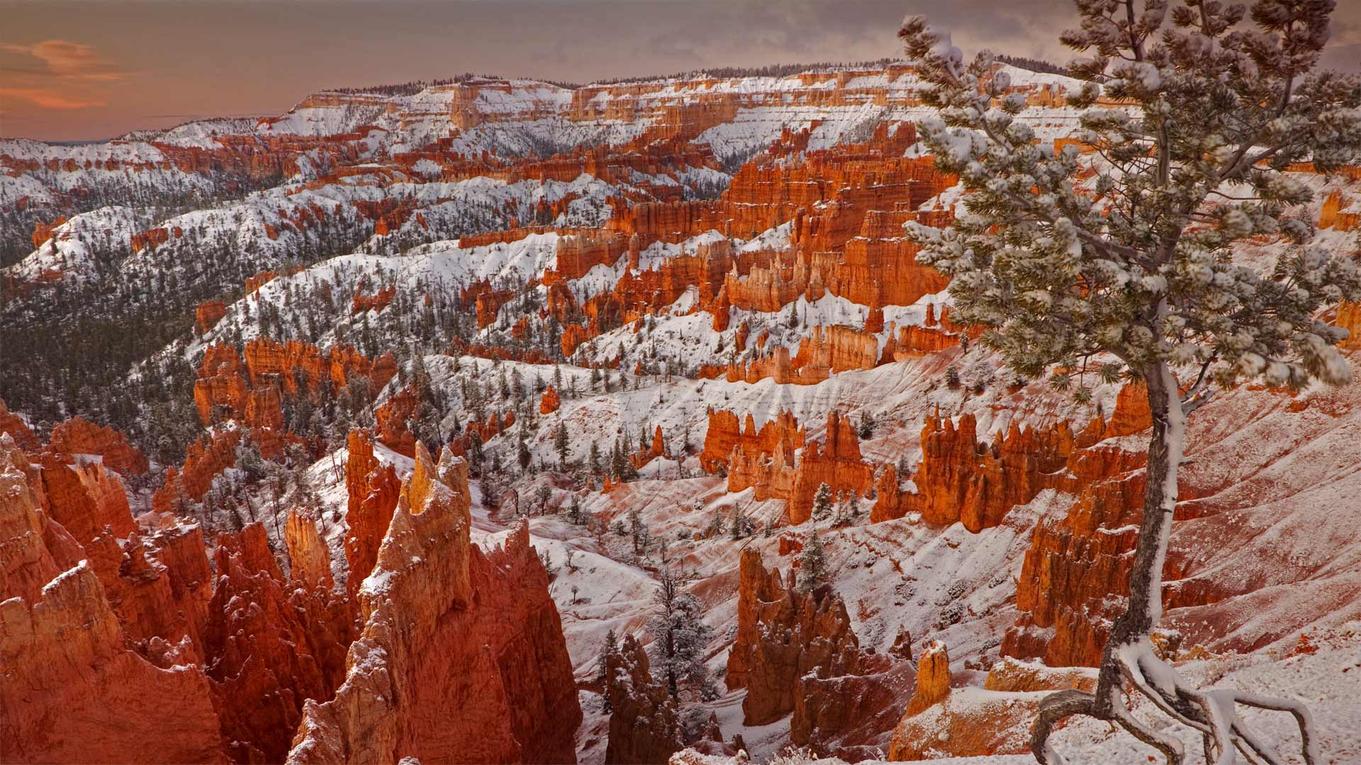 WinterBryce_ZH-CN8874624326_1920x1080.jpg