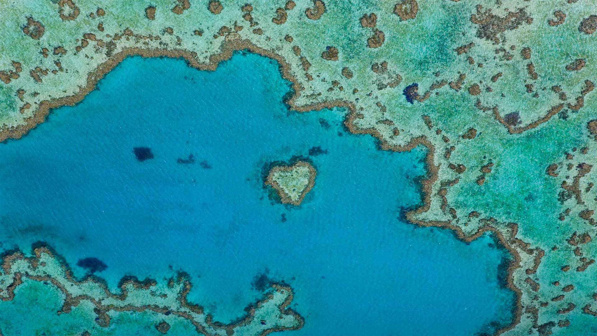 HeartAustralia_ZH-CN7049080558_1920x1080.jpg
