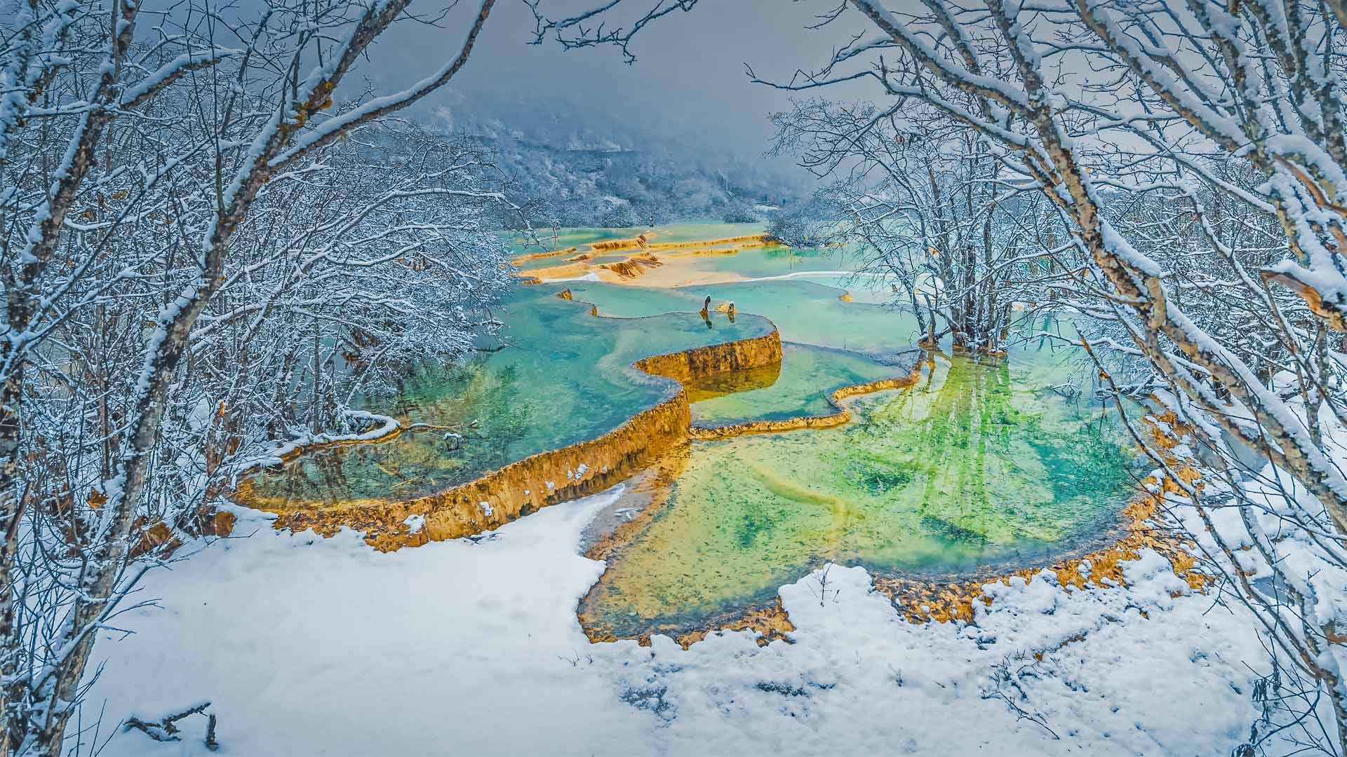 GoldenDragon_ZH-CN9908231664_1920x1080.jpg