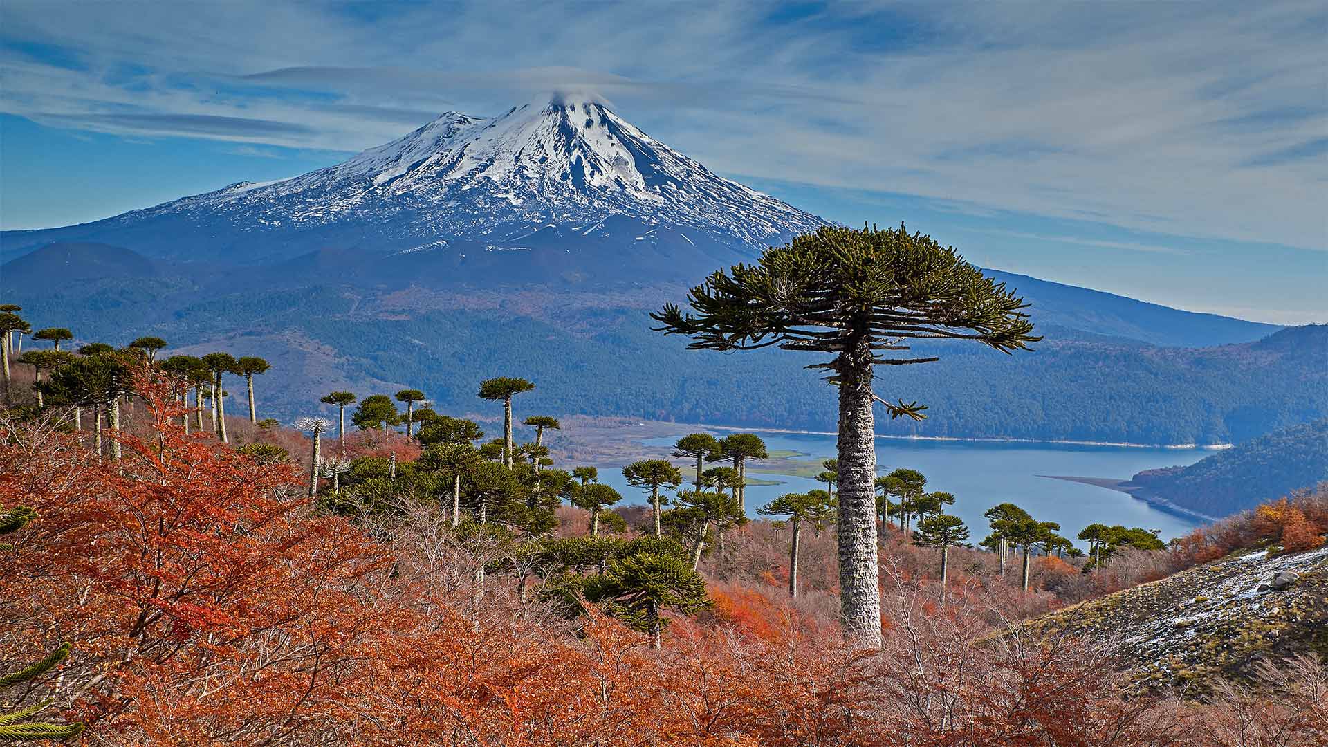 VolcanoLlaima_ZH-CN3436127573_1920x1080.jpg