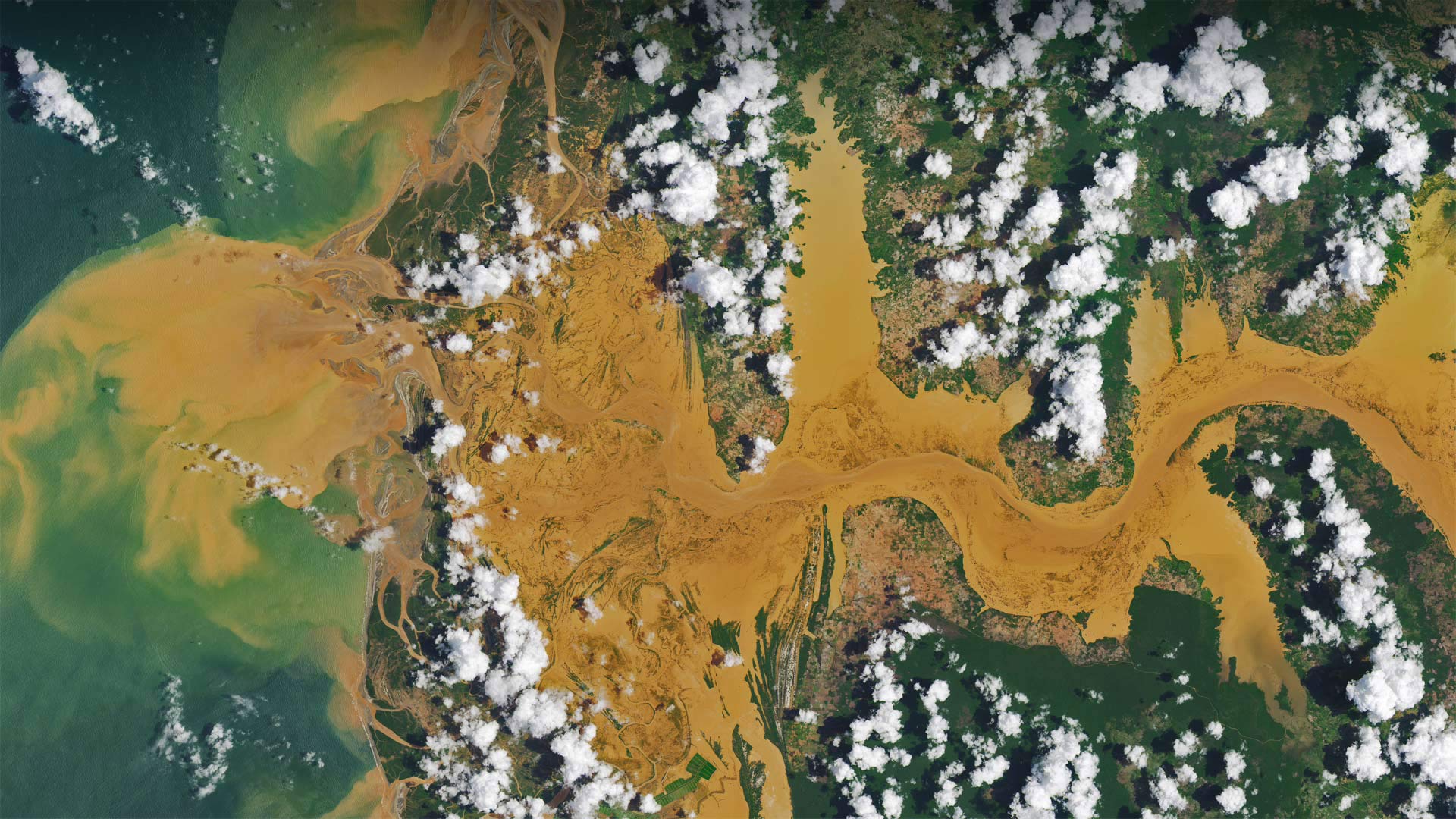LoftedMadagascar_ZH-CN0062899981_1920x1080.jpg