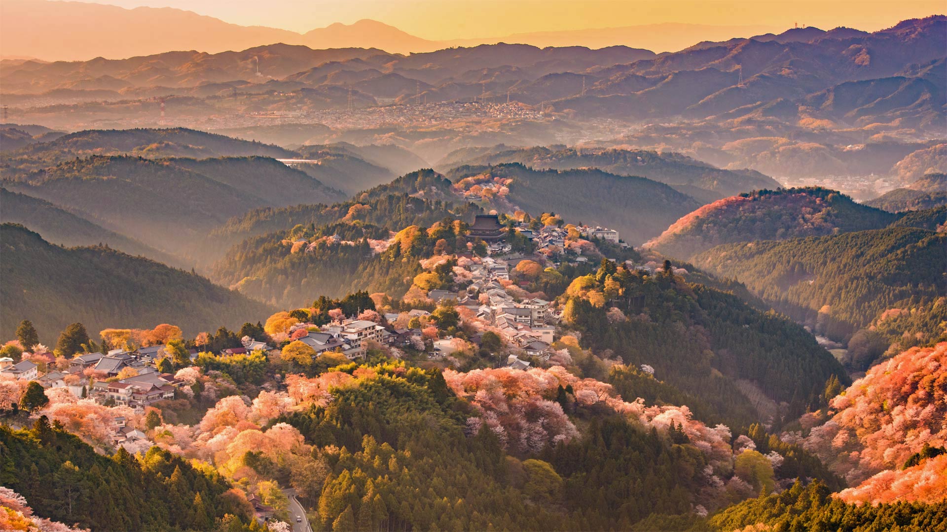 YoshinoyamaSpring_ZH-CN5545606722_1920x1080.jpg