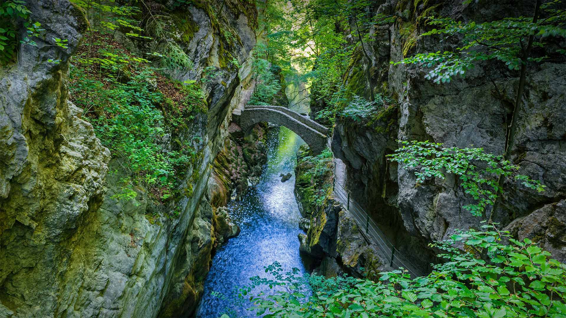 SautduBrot_ZH-CN3361866139_1920x1080.jpg