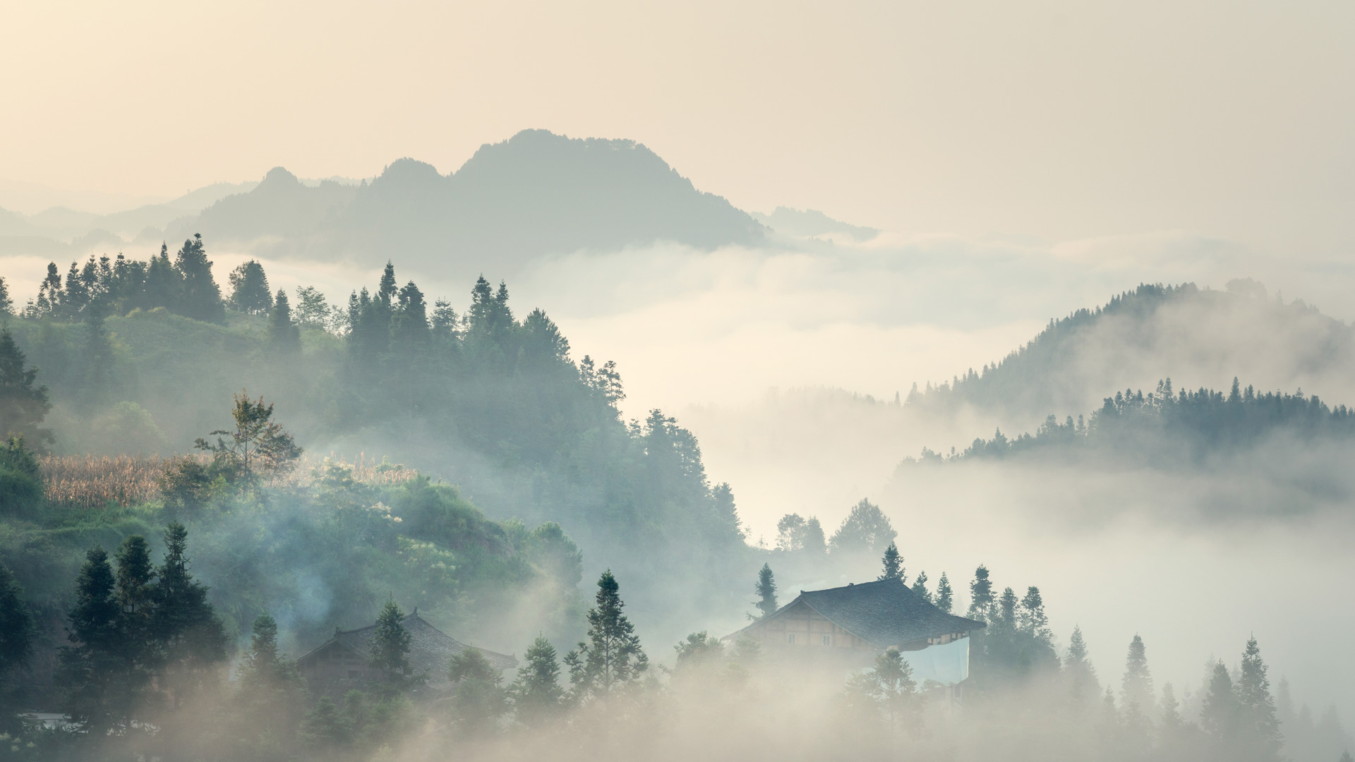 Qingming2021_ZH-CN6154314555_1920x1080.jpg