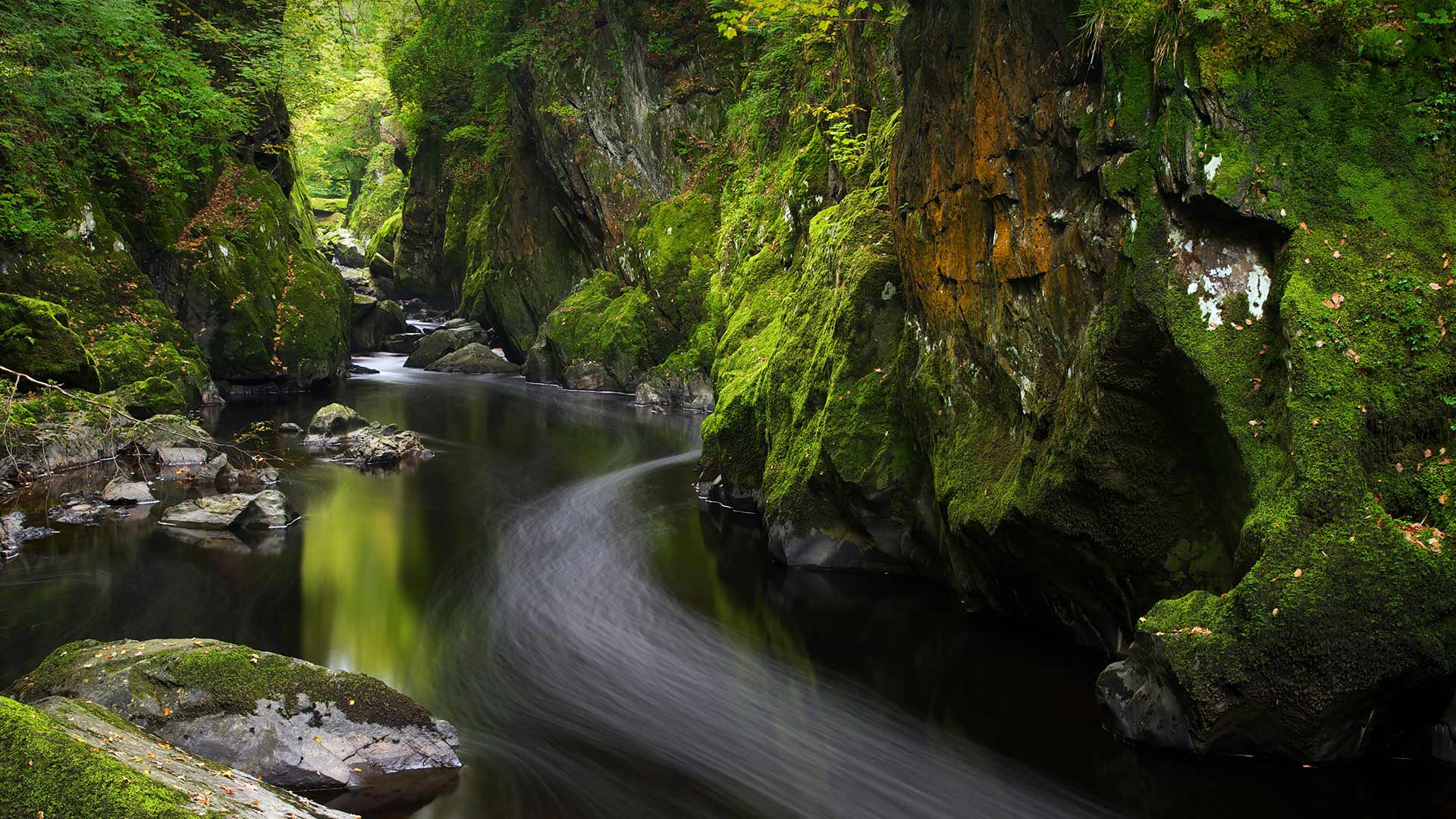 MossyCanyon_ZH-CN7931722740_1920x1080.jpg