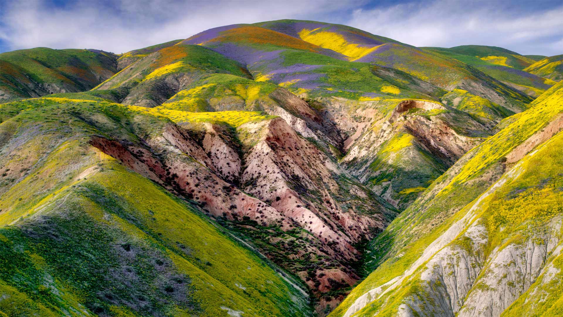 CarrizoPlain_ZH-CN5933565493_1920x1080.jpg